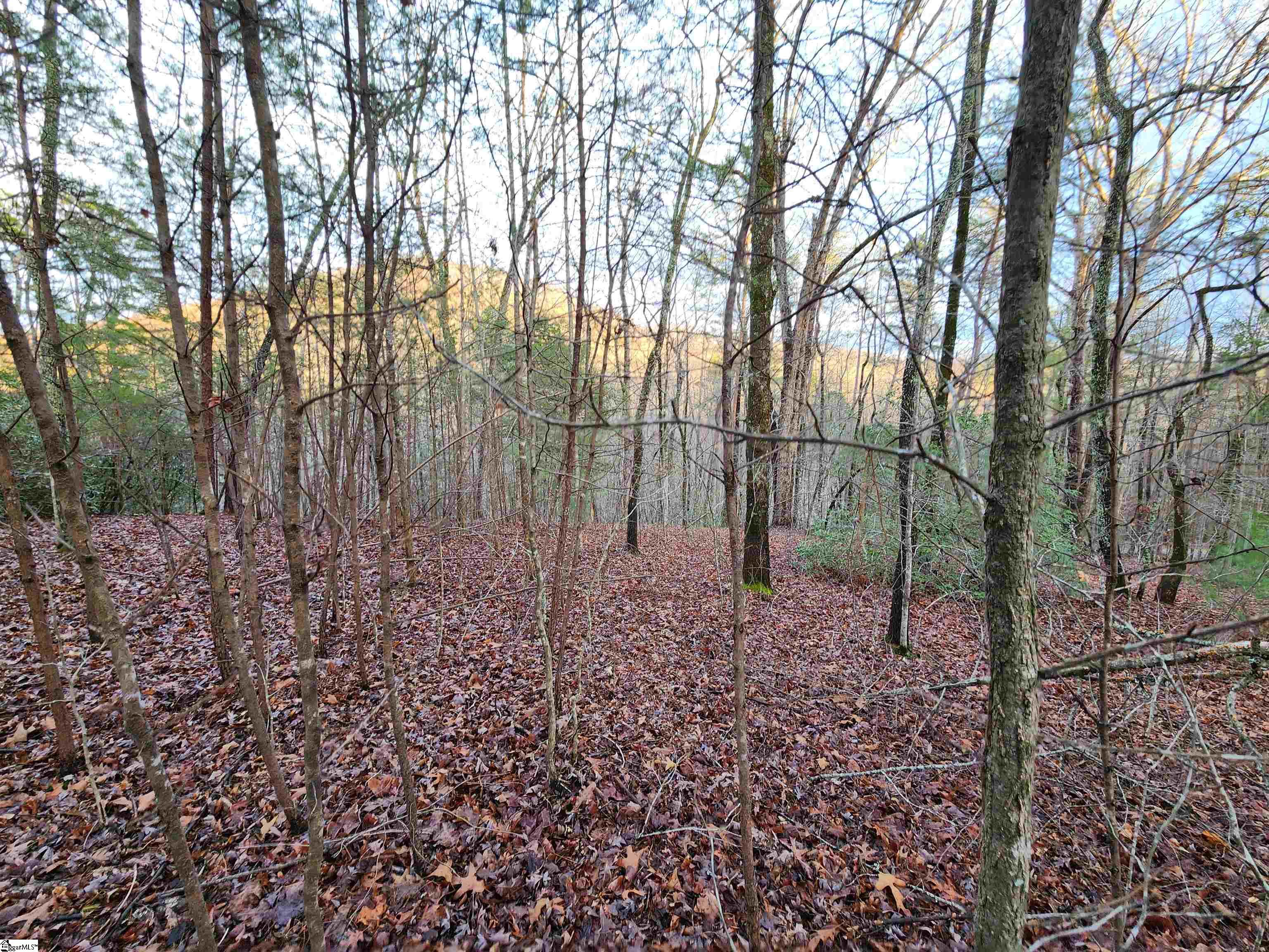 217 Ridge Haven Trail, Travelers Rest SC 29690
