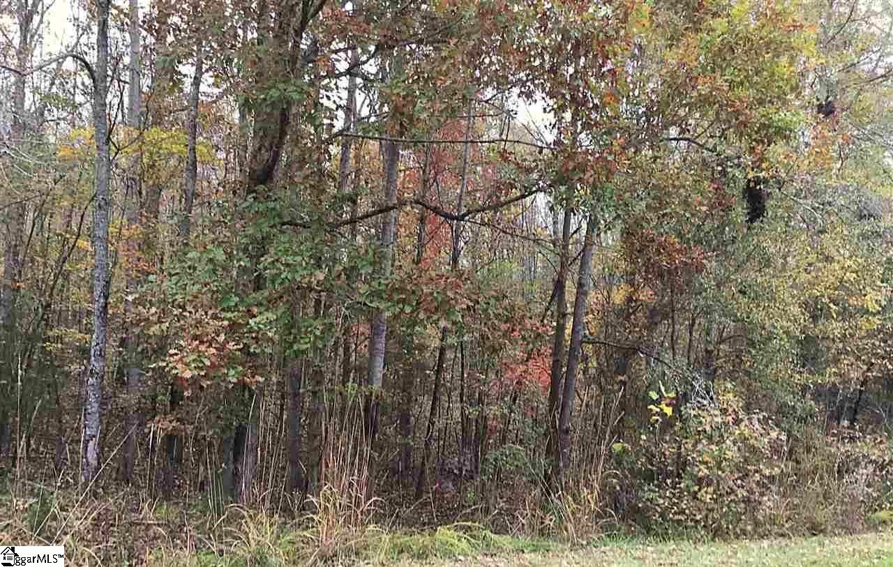 503 W Peninsula Drive, Laurens SC 29360