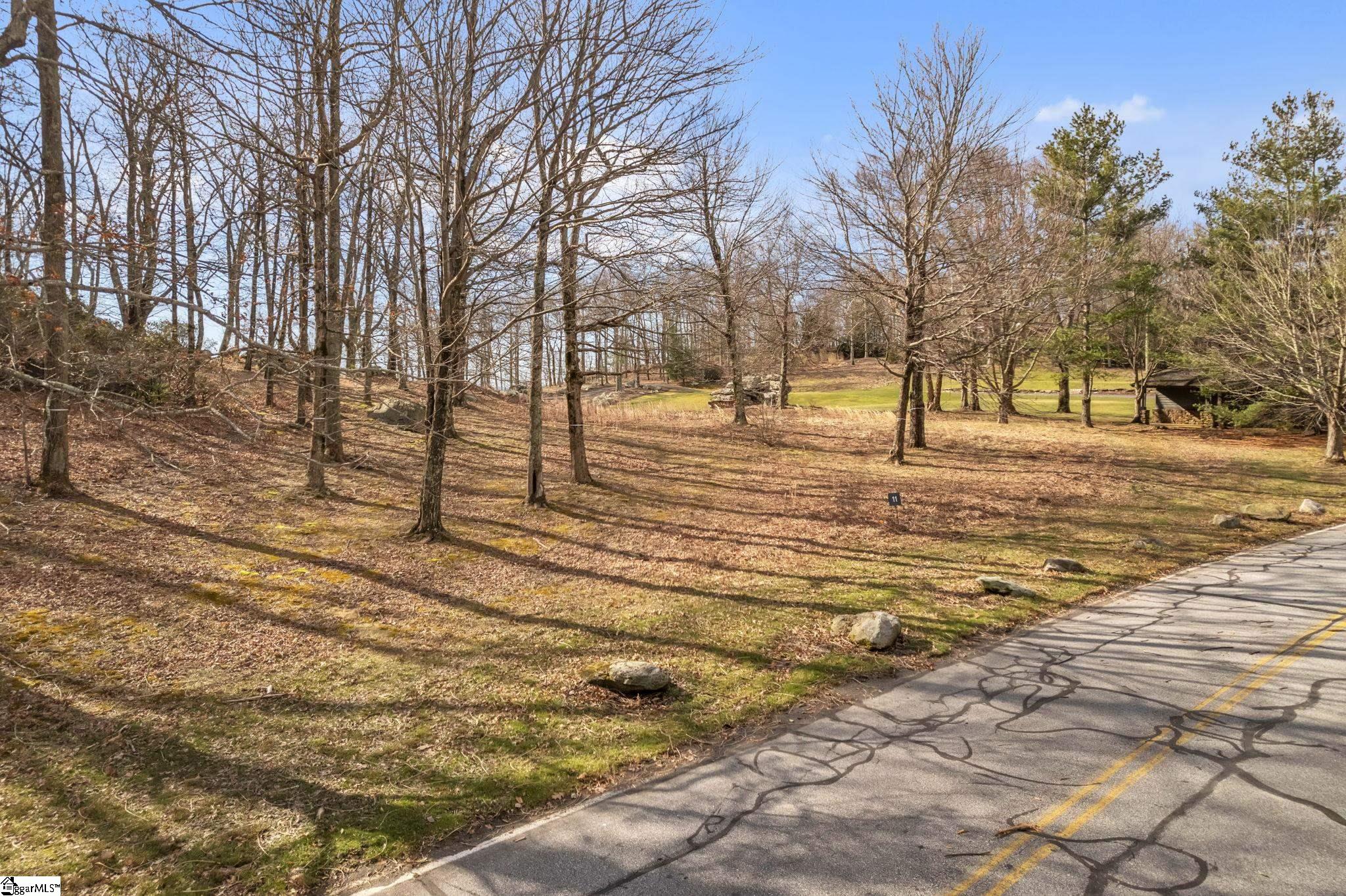 Glassy Ridge Road Lot 11, Landrum SC 29356
