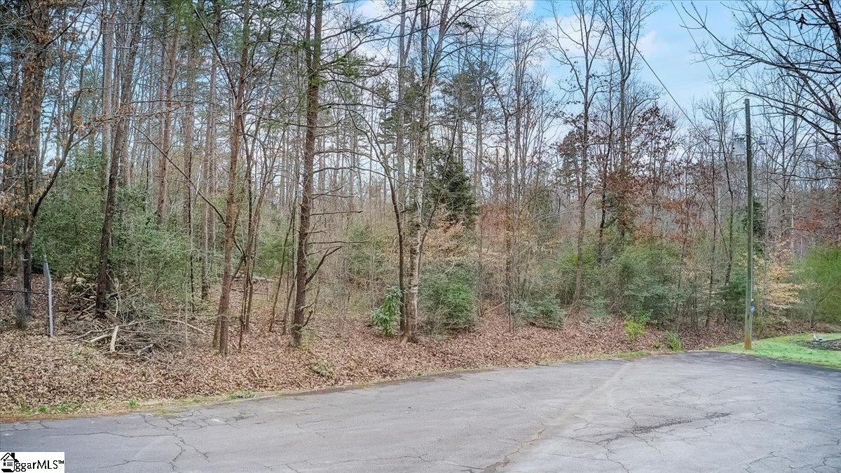 00 Albertson Drive, Easley SC 29642