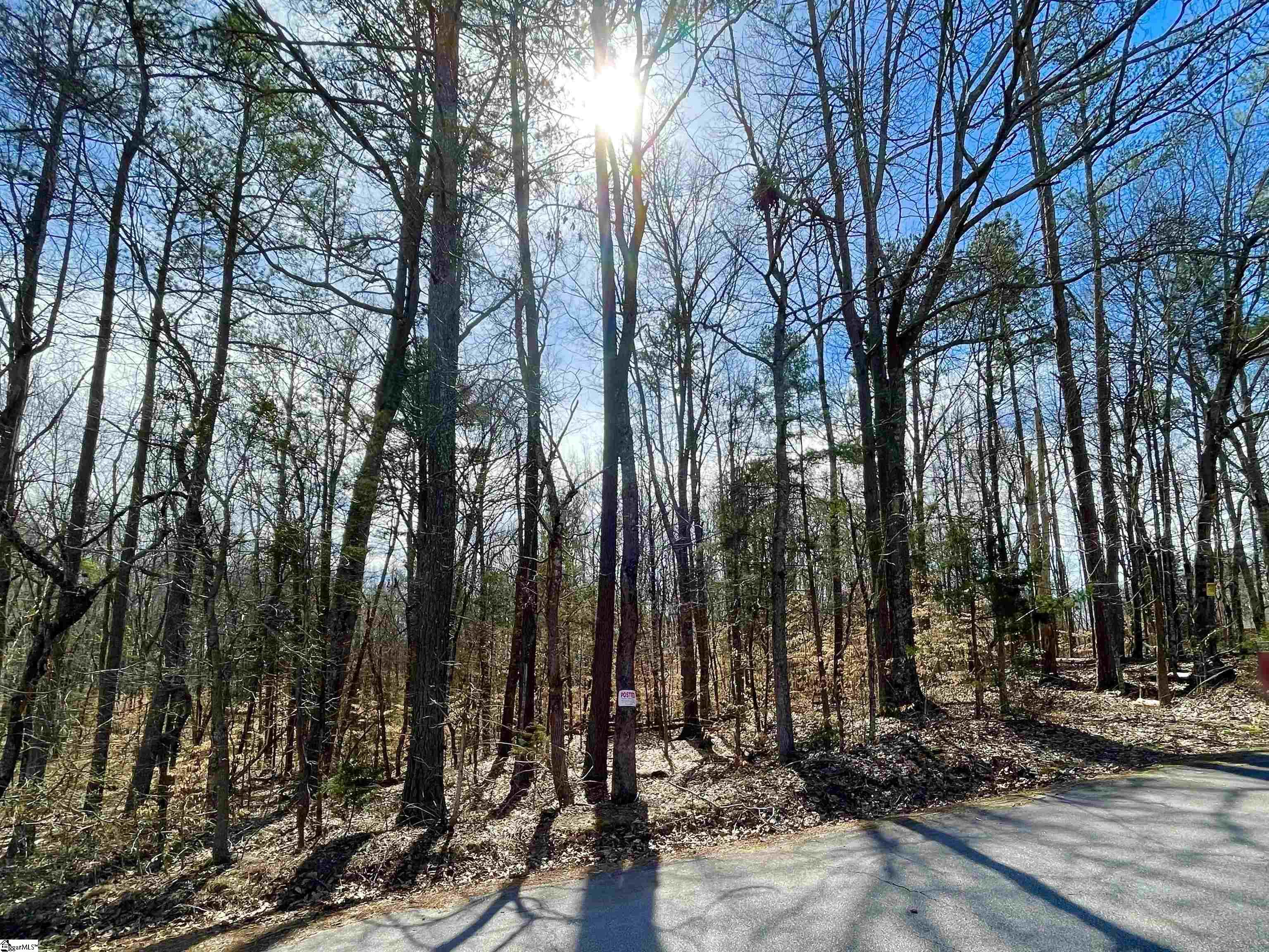 0 Robin Drive Lot 9, Fountain Inn SC 29644