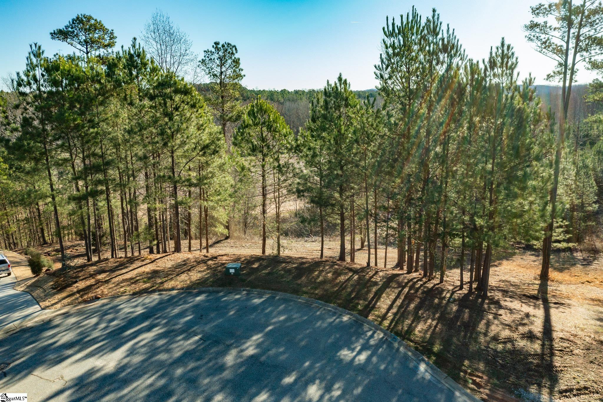 22 Tee Box Lane, Travelers Rest SC 29690
