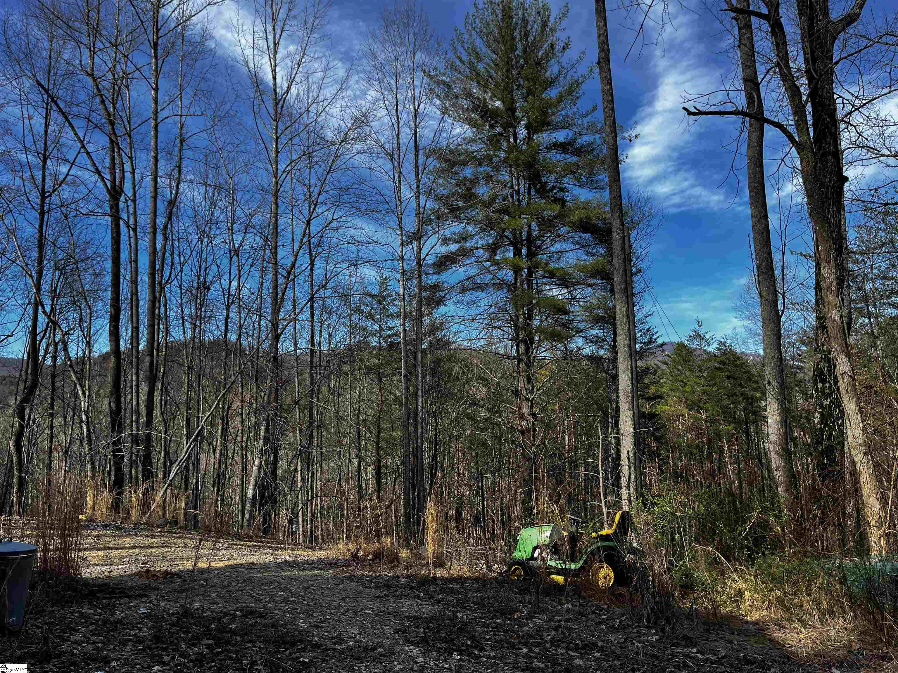 279 Blue Sky Drive Lot 11, Sunset SC 29685