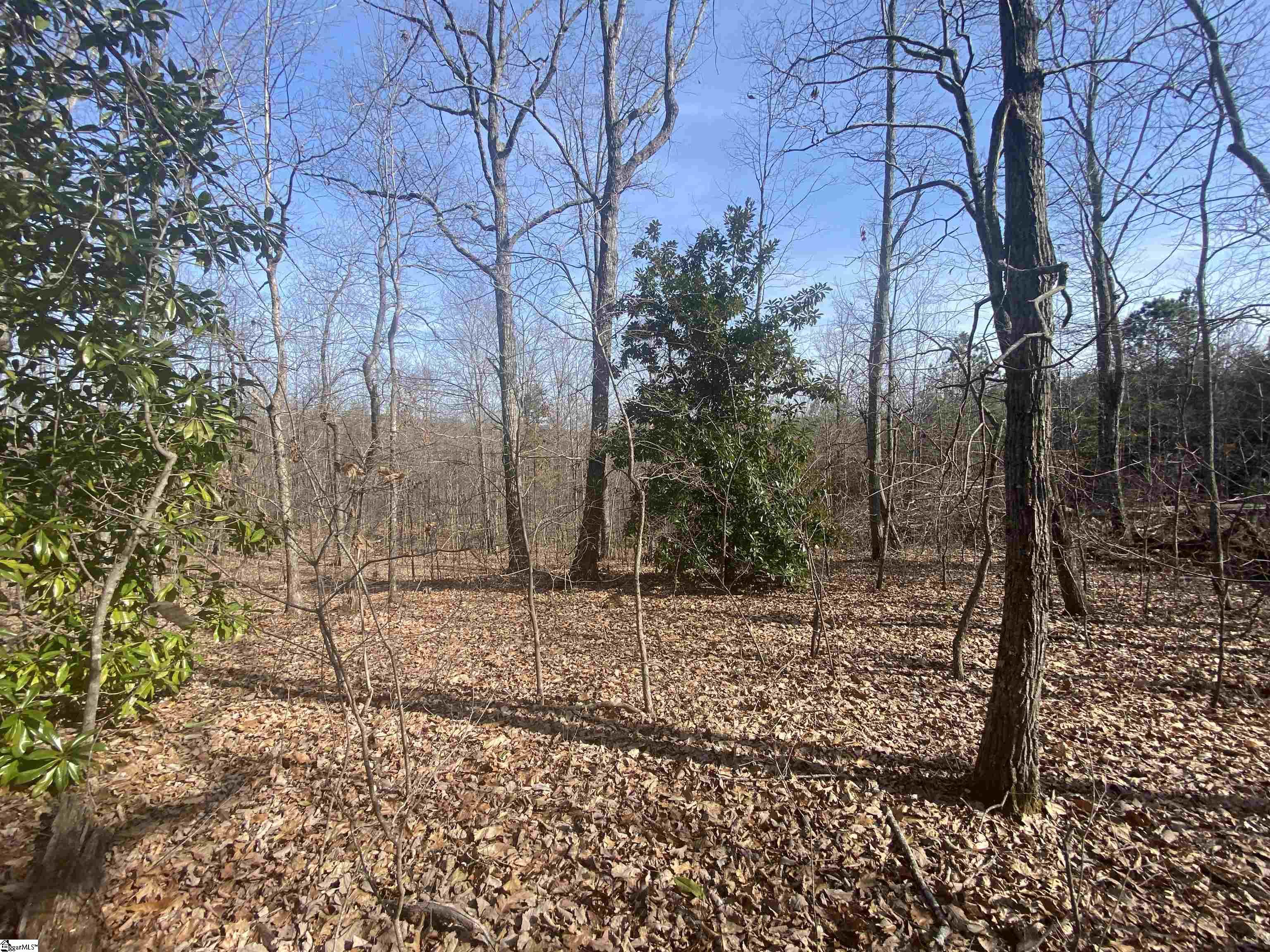 300 Belvue Road, Travelers Rest SC 29690