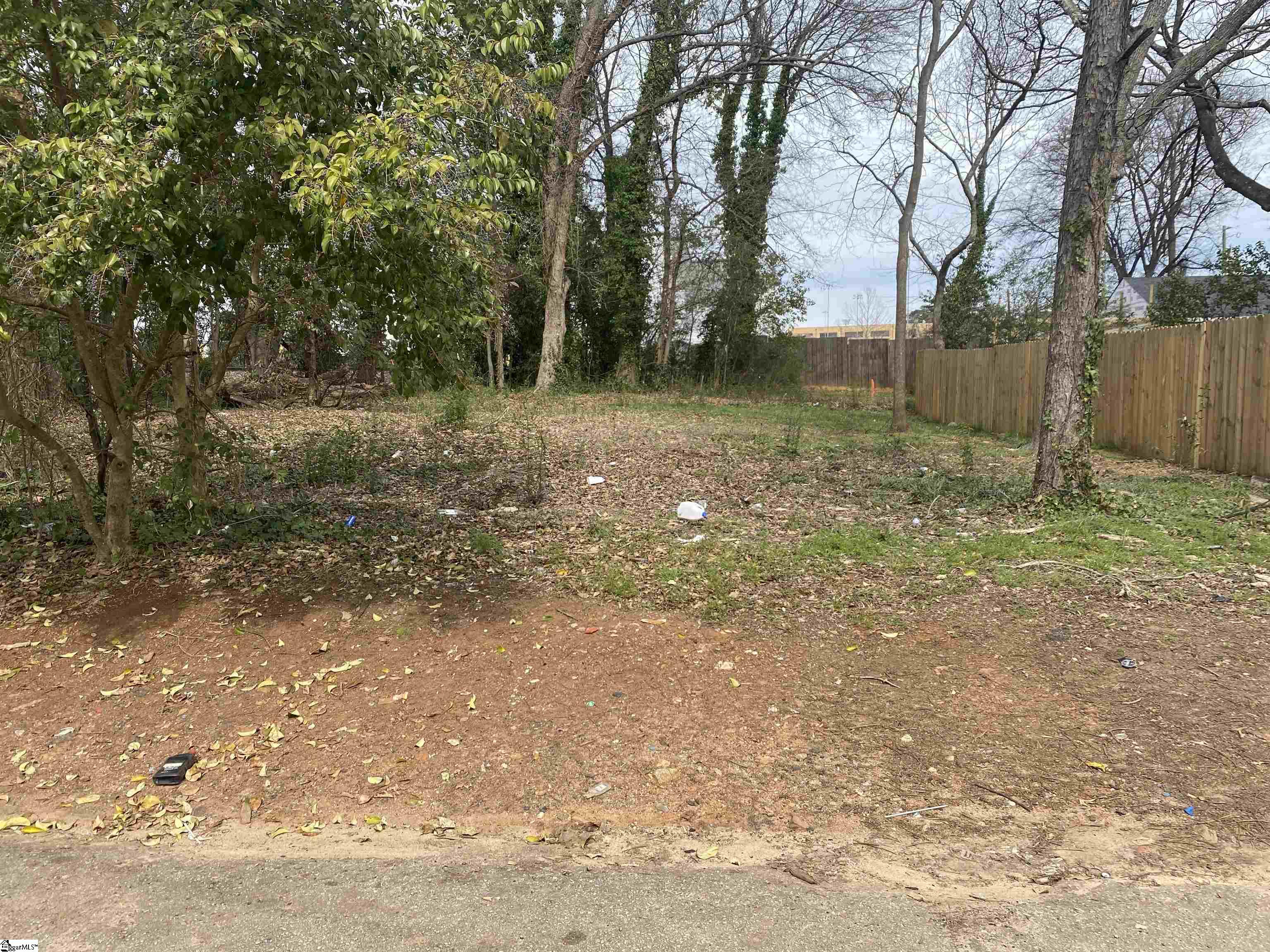 11 Trotter Street, Greenville SC 29605