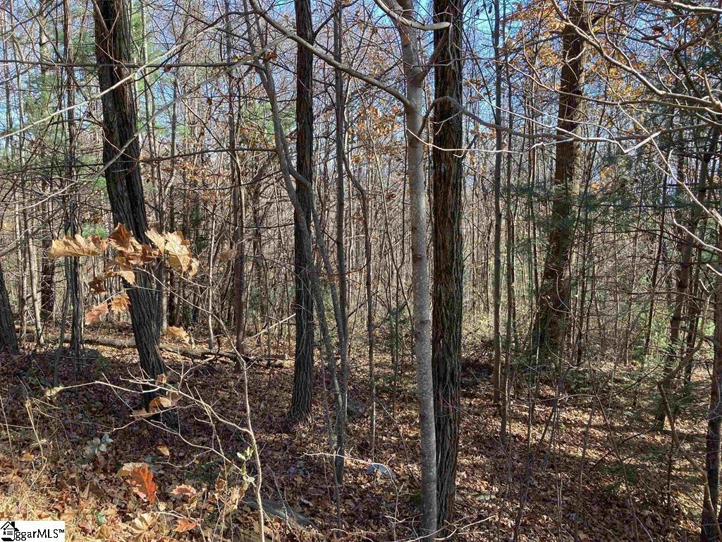 15 Outlook  Ledge, Landrum SC 29356