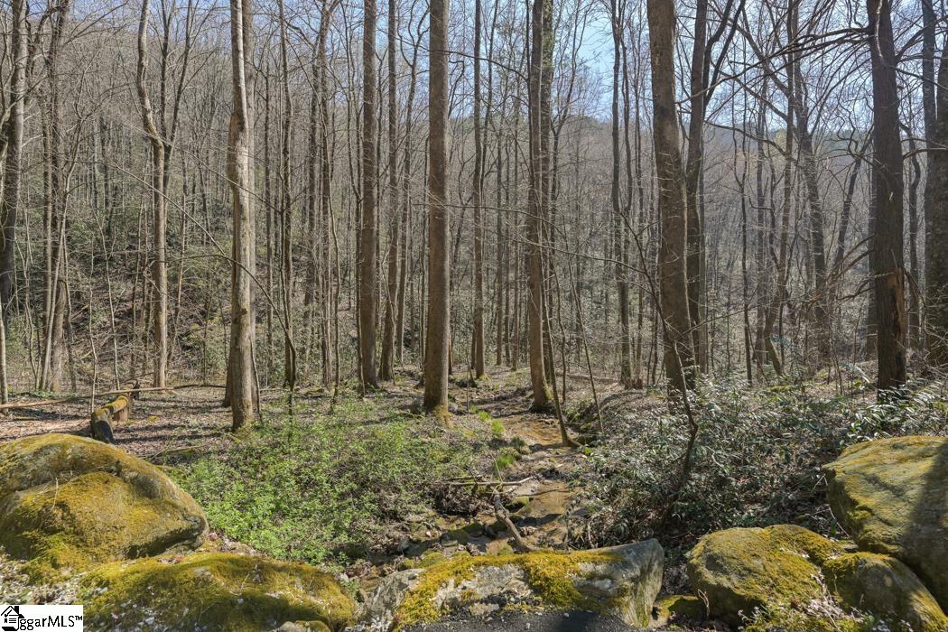 00 Panther Park Trail Lot 31, Travelers Rest SC 29690