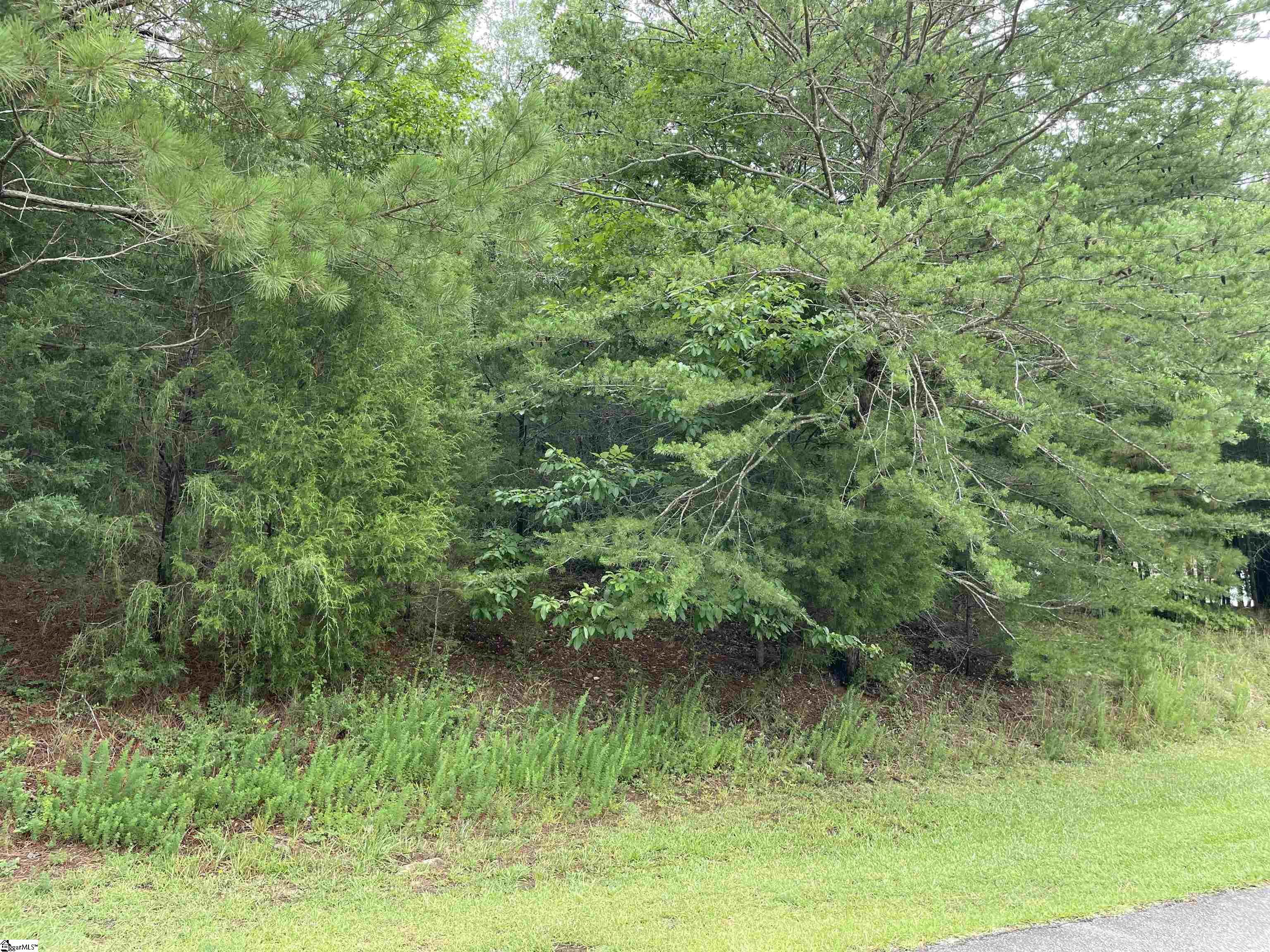 205 W Peninsula Drive, Laurens SC 29360