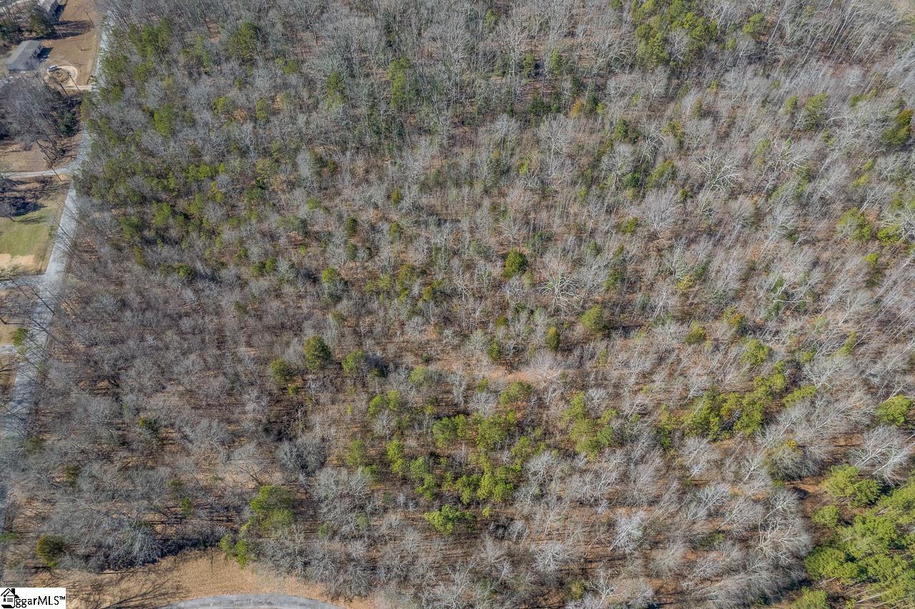 MLS #1493734 image #11