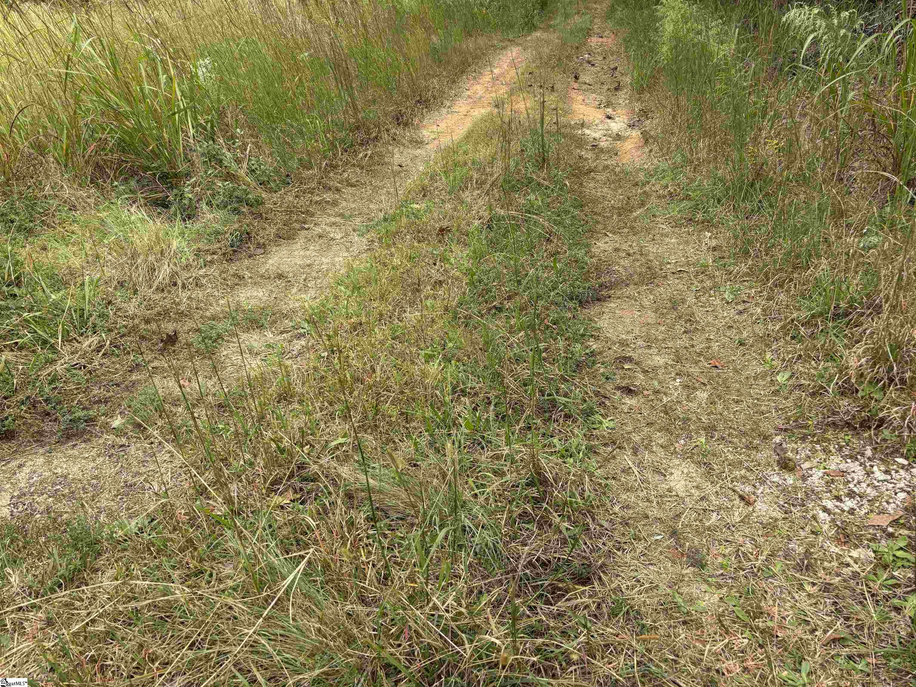 MLS #1493734 image #15