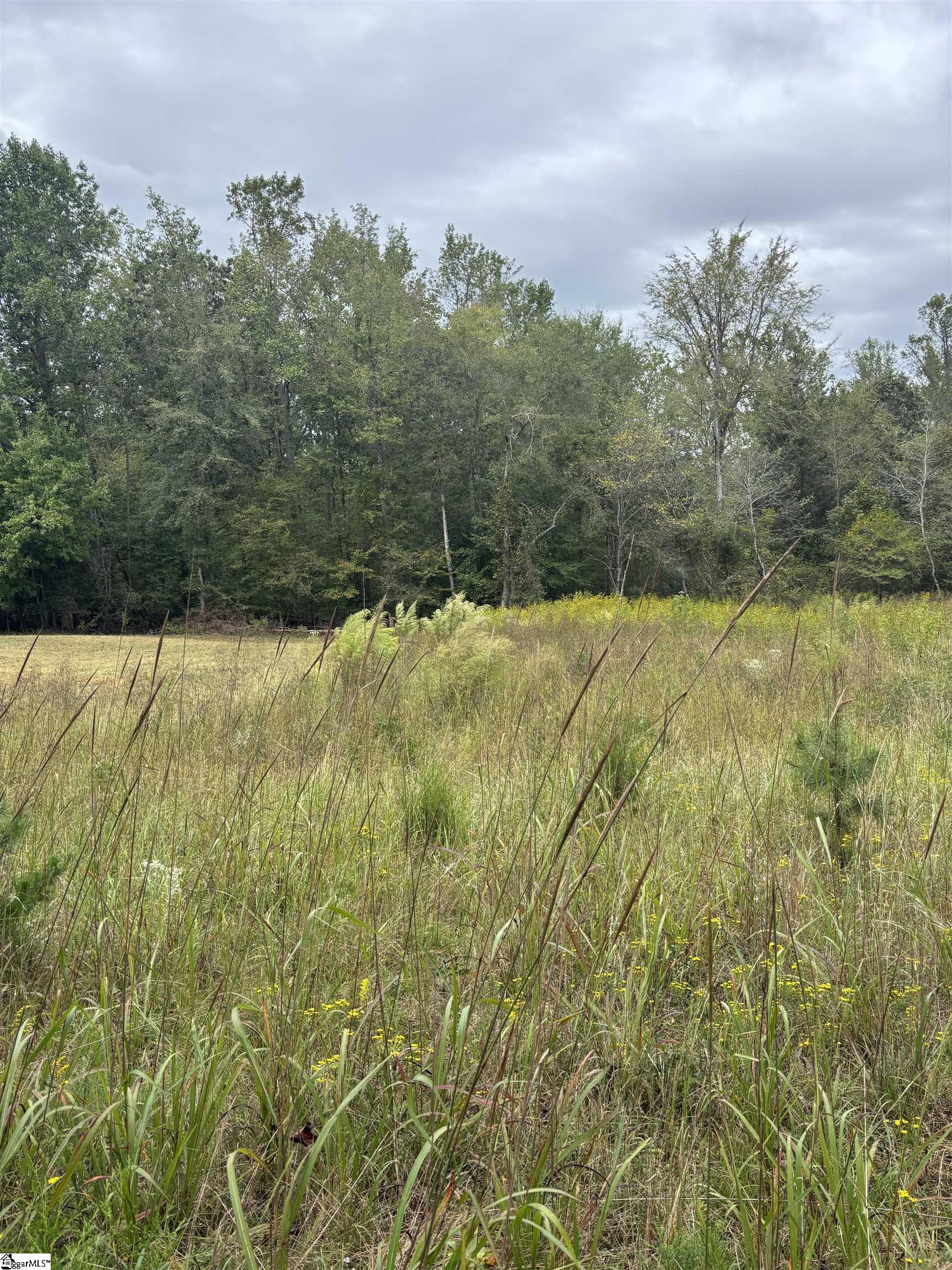 MLS #1493734 image #16