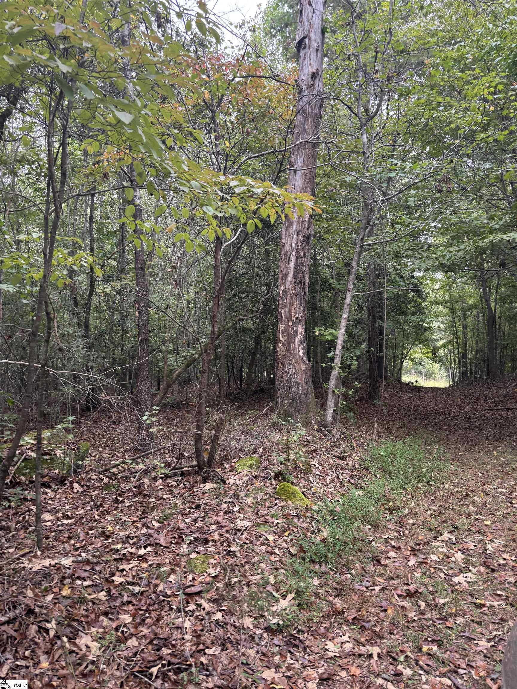 MLS #1493734 image #17