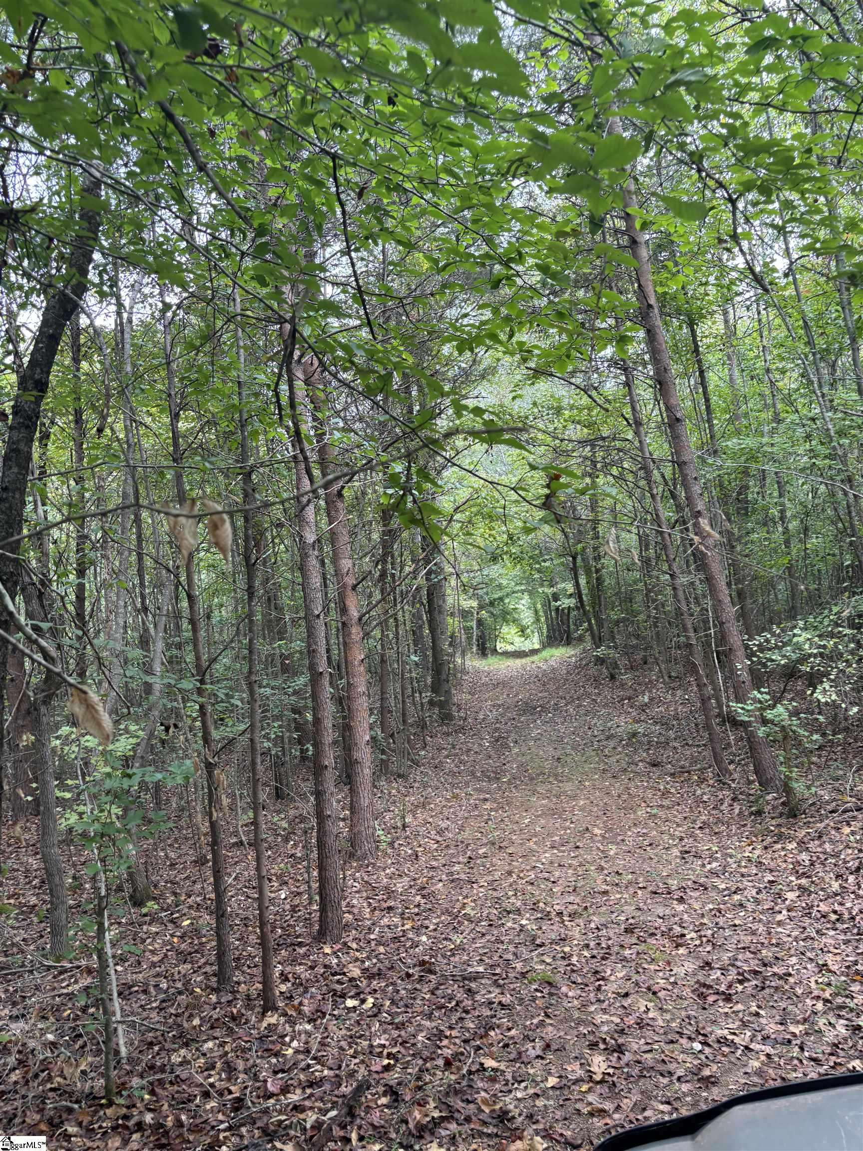 MLS #1493734 image #18