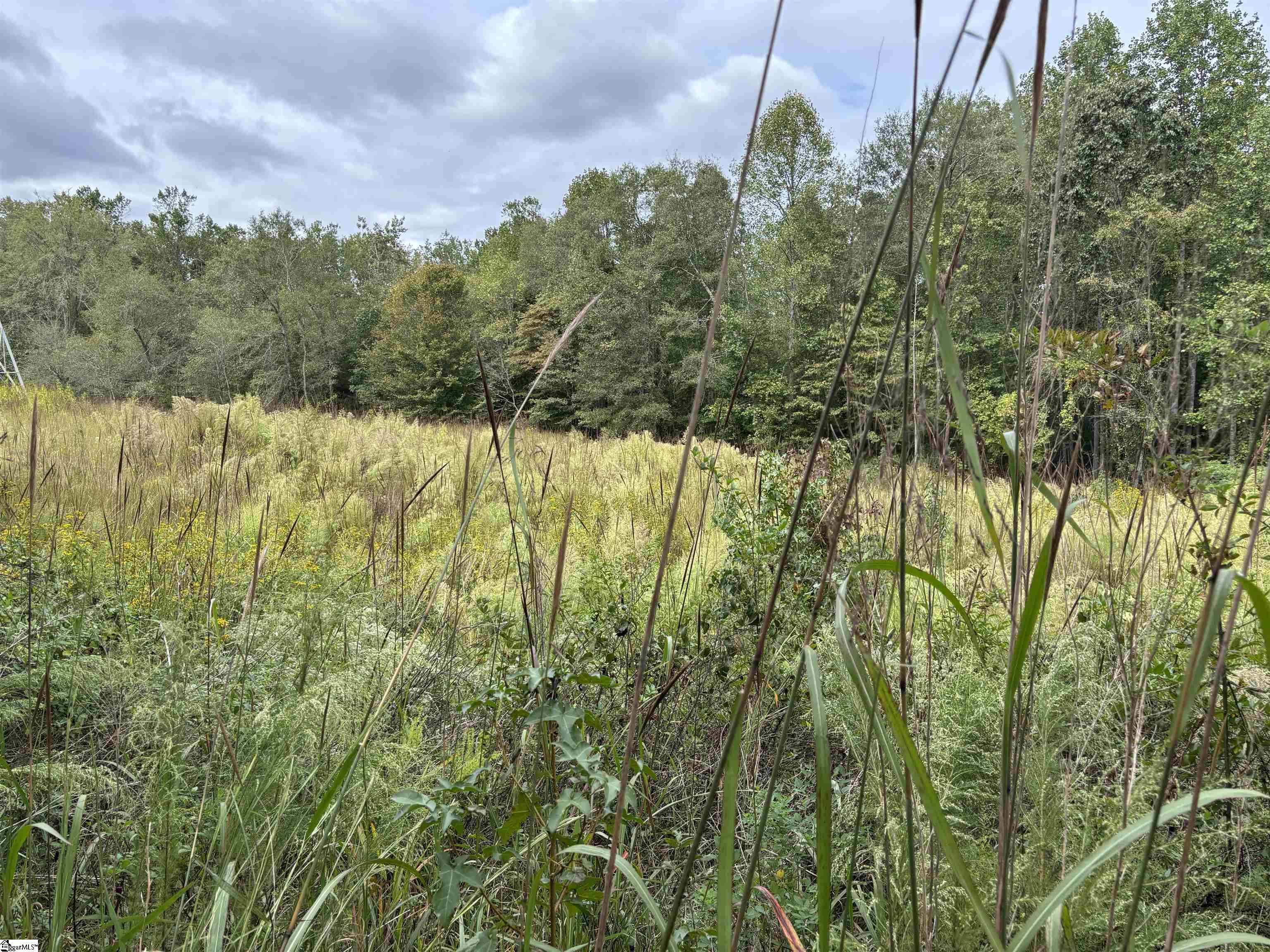 MLS #1493734 image #19