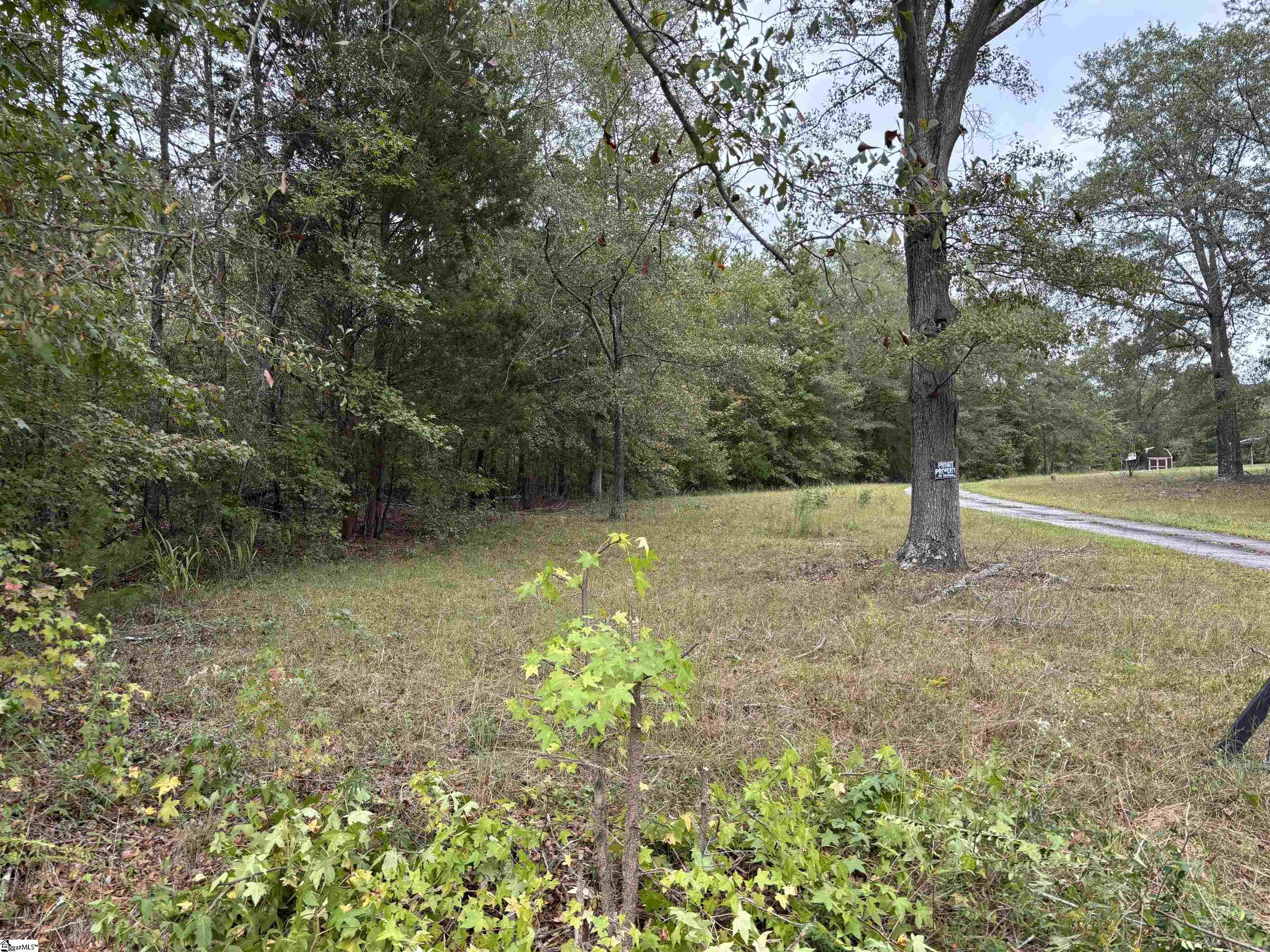 MLS #1493734 image #3