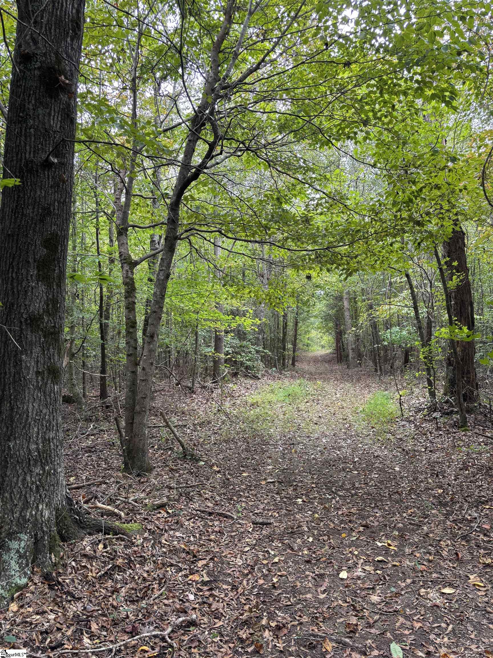 MLS #1493734 image #6