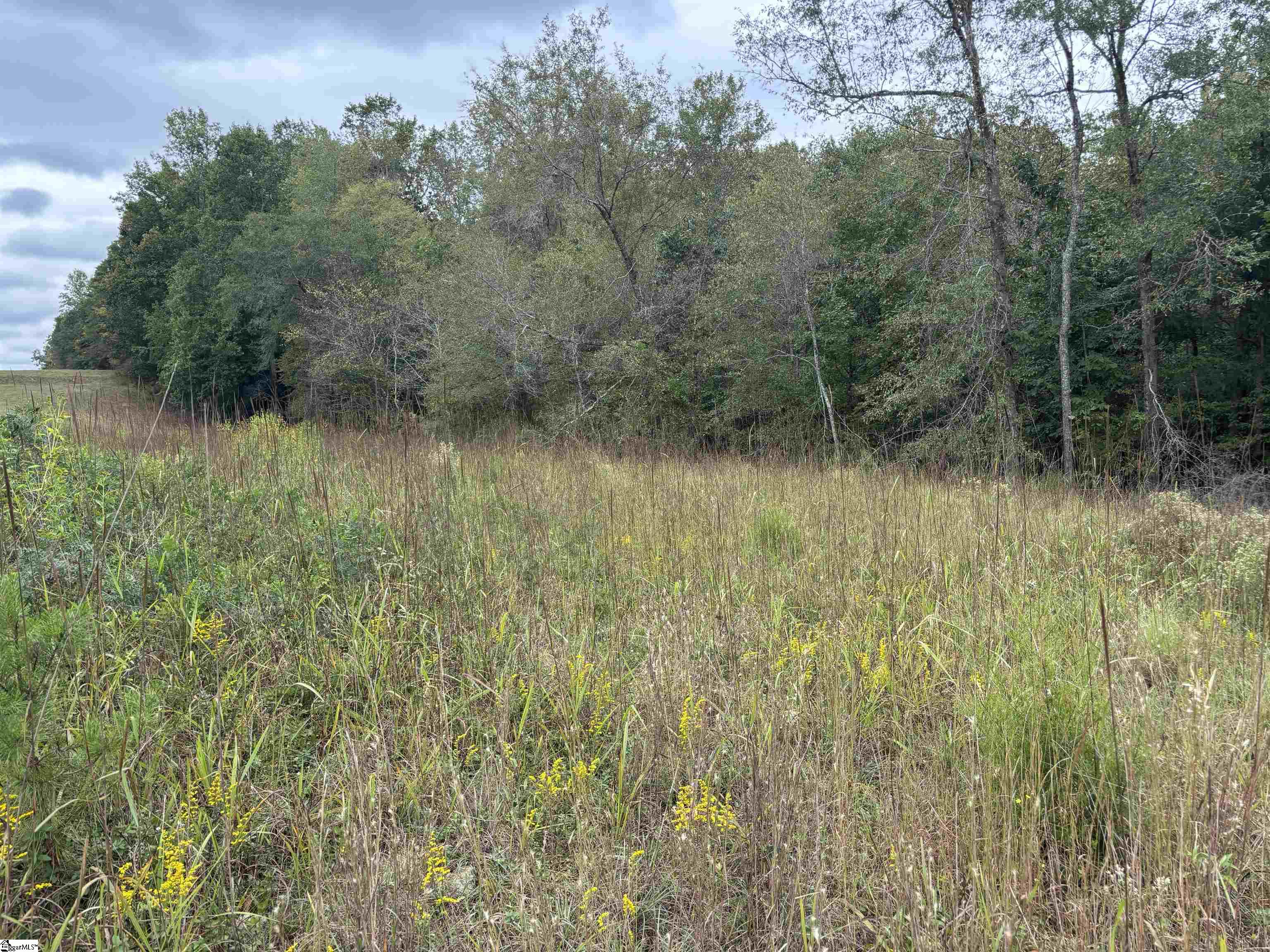 MLS #1493734 image #7