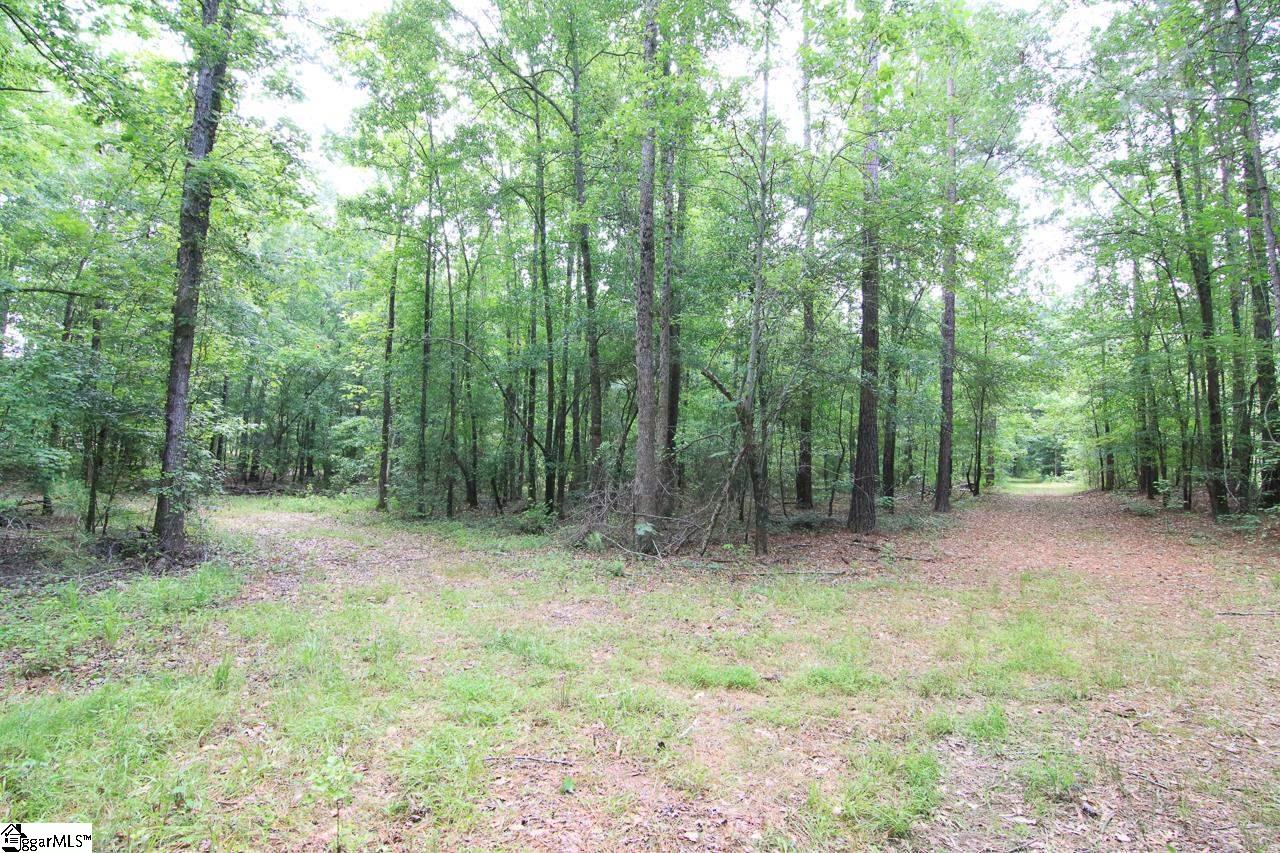 00 Highway 76 W, Laurens, South Carolina image 16