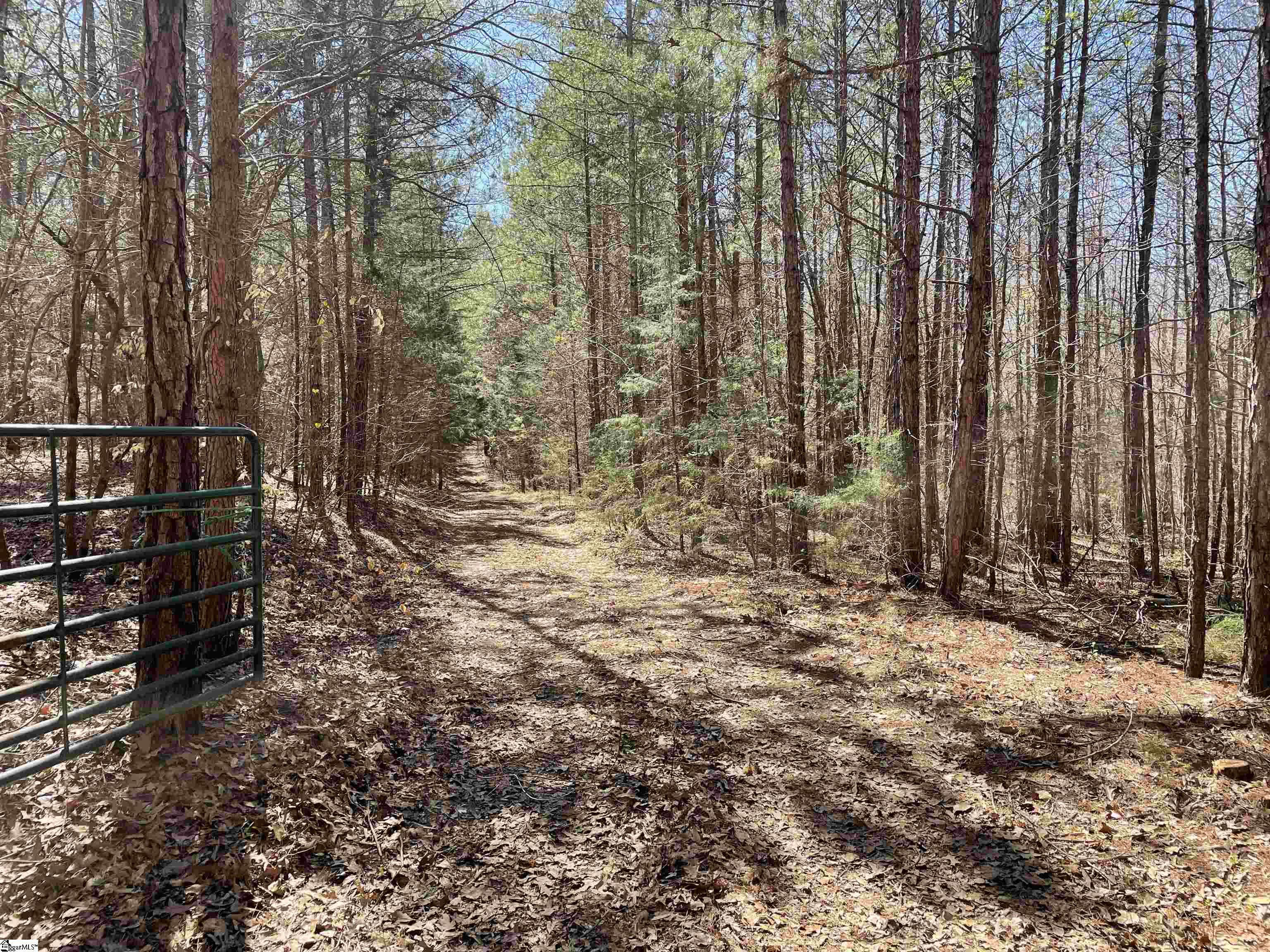 00 Georgia Acres Road, Gray Court SC 29645