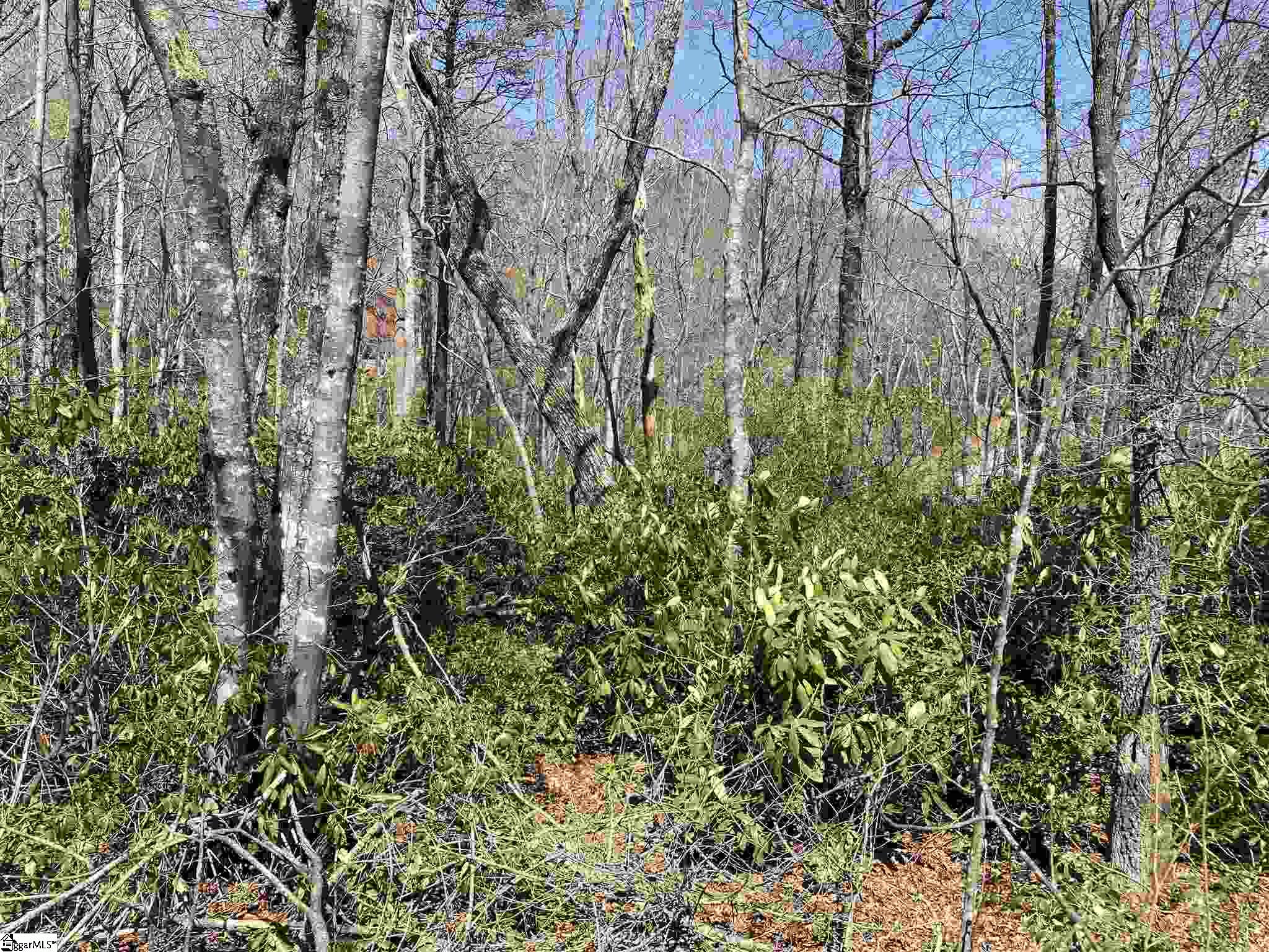 12 Blazing Star Trail, Landrum SC 29356