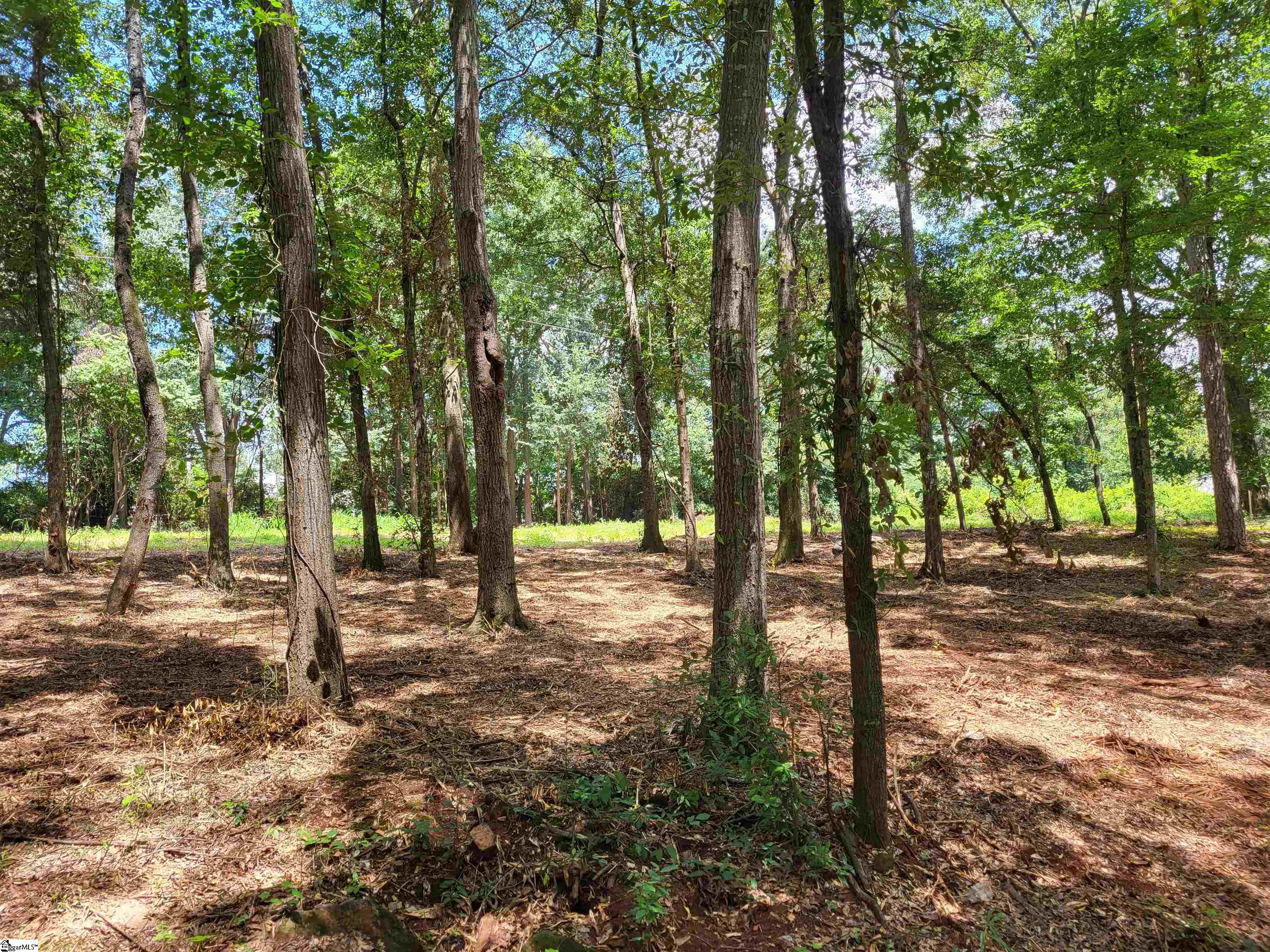 00 Porter Street, Wellford SC 29385
