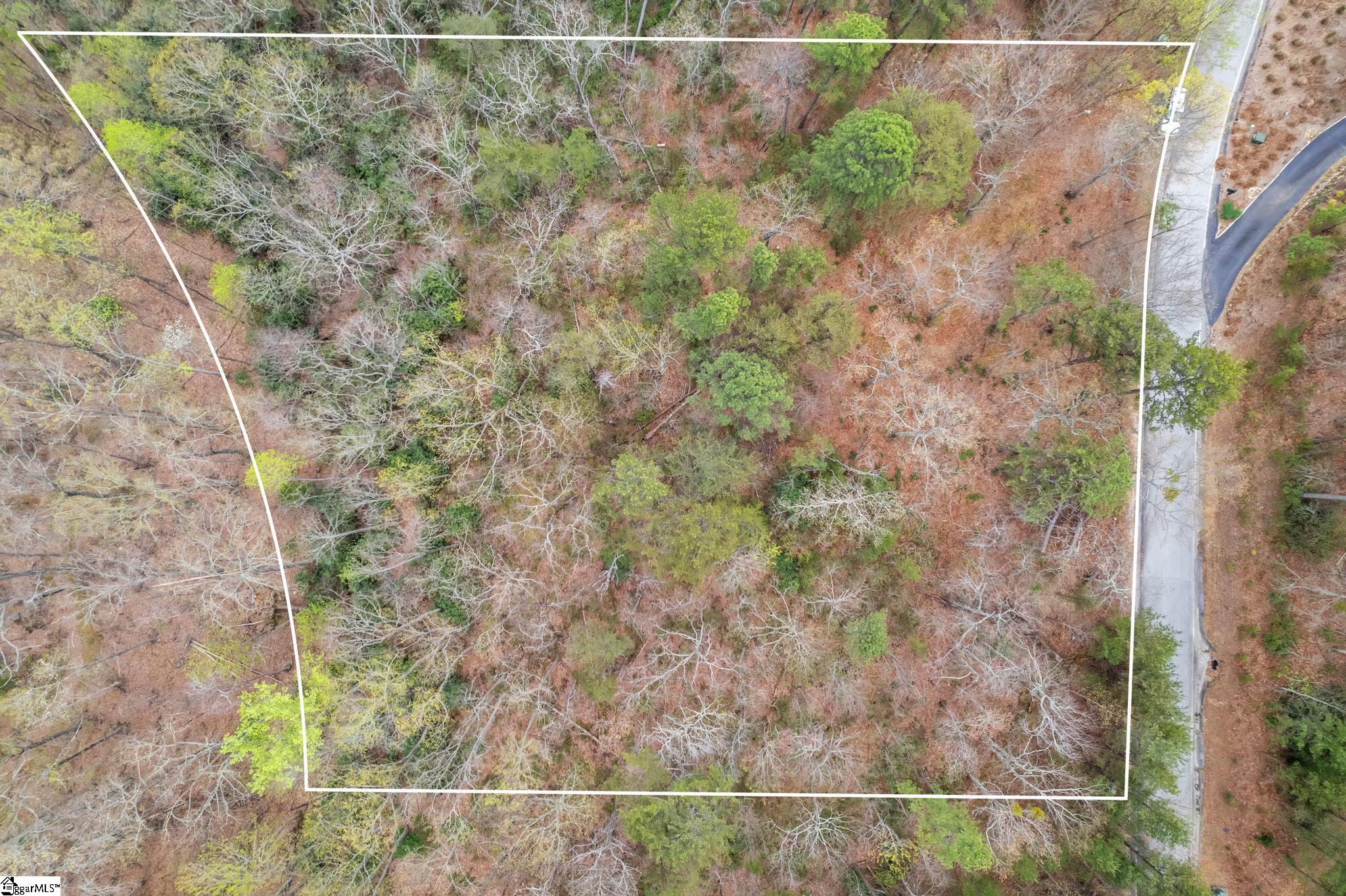 19 Foggy Ridge Way, Greenville SC 29690