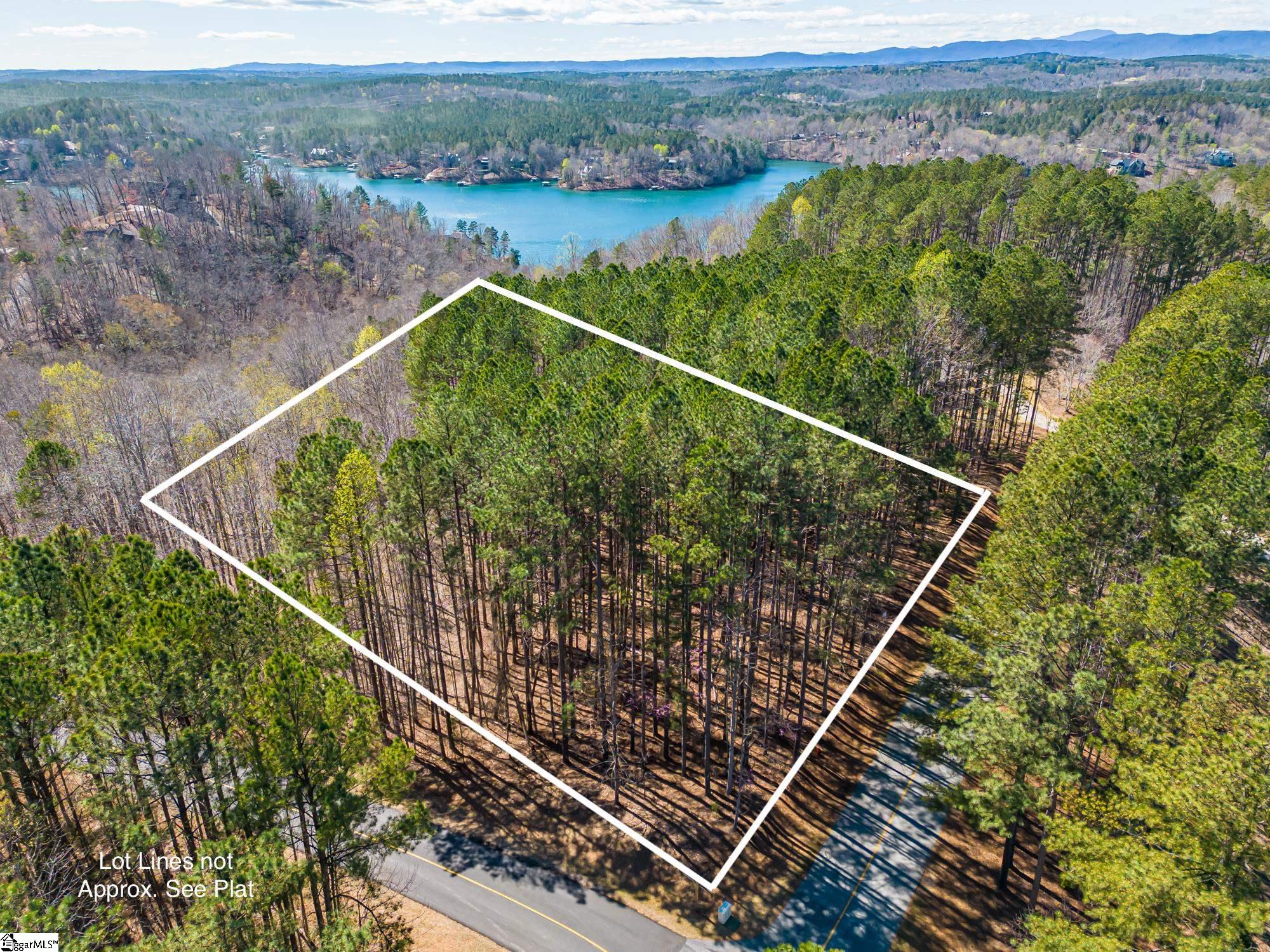 703 Top Ridge Drive, Sunset SC 29685