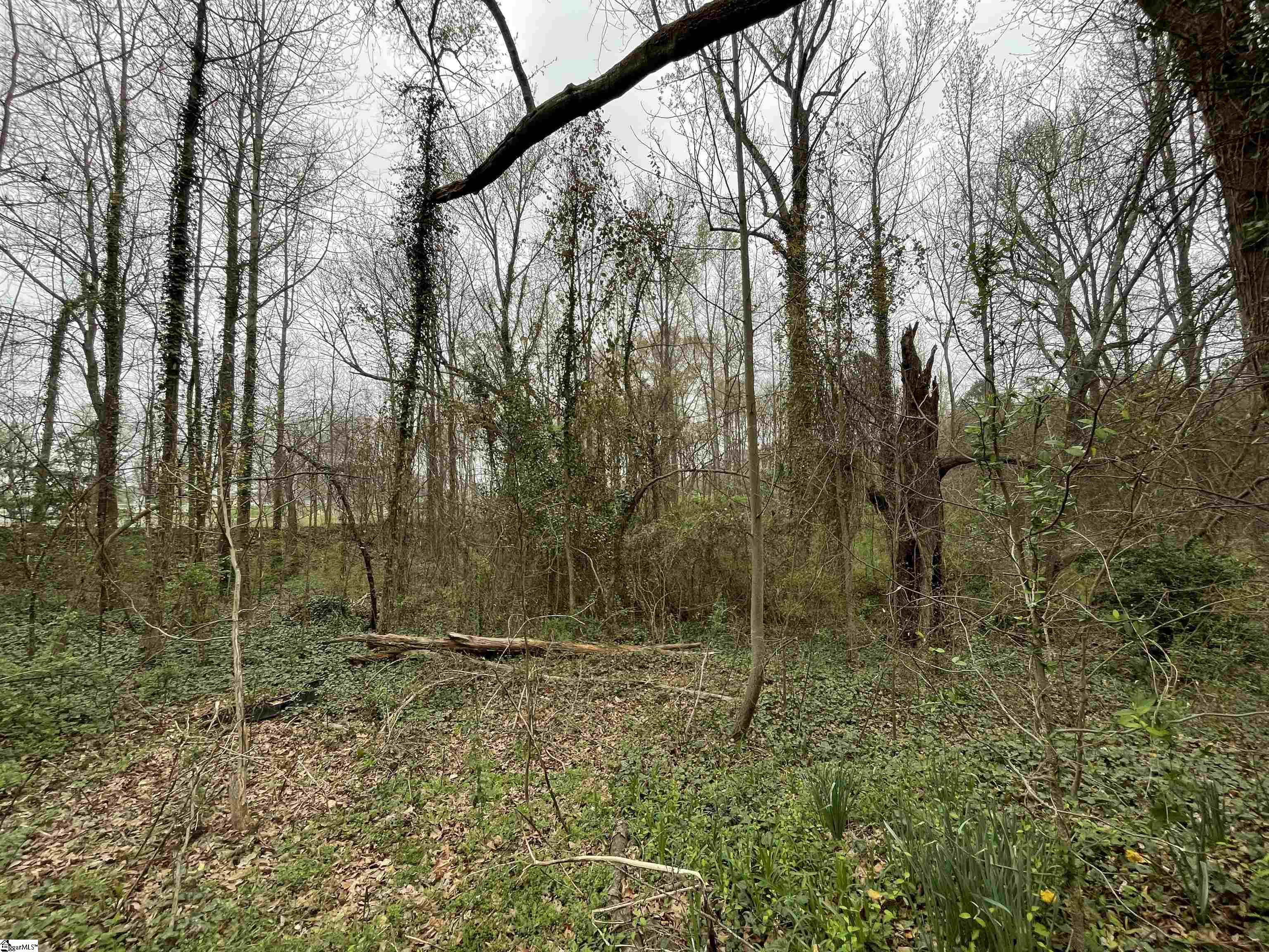 173 Bellew Carver Road, Spartanburg SC 29301