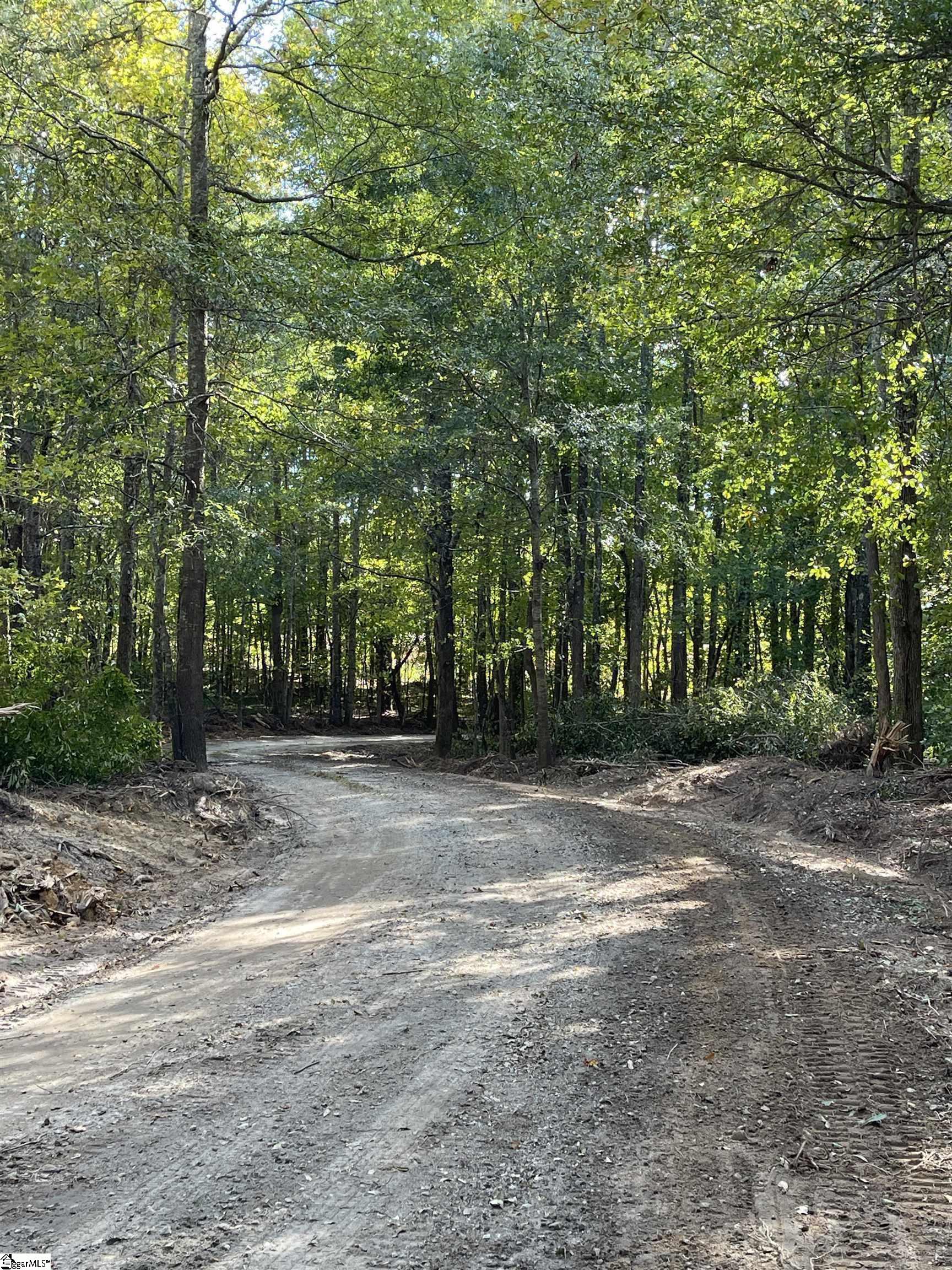 lot 3 Dowler Drive, Inman SC 29349