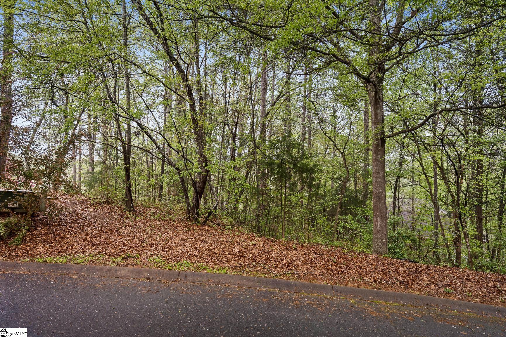 204 Crestview Court, Seneca SC 29672-0000