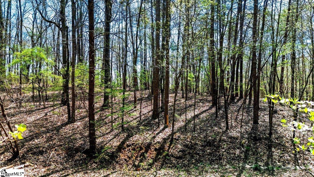 0 Woodbluff Circle Lot 91, Westminster SC 29693