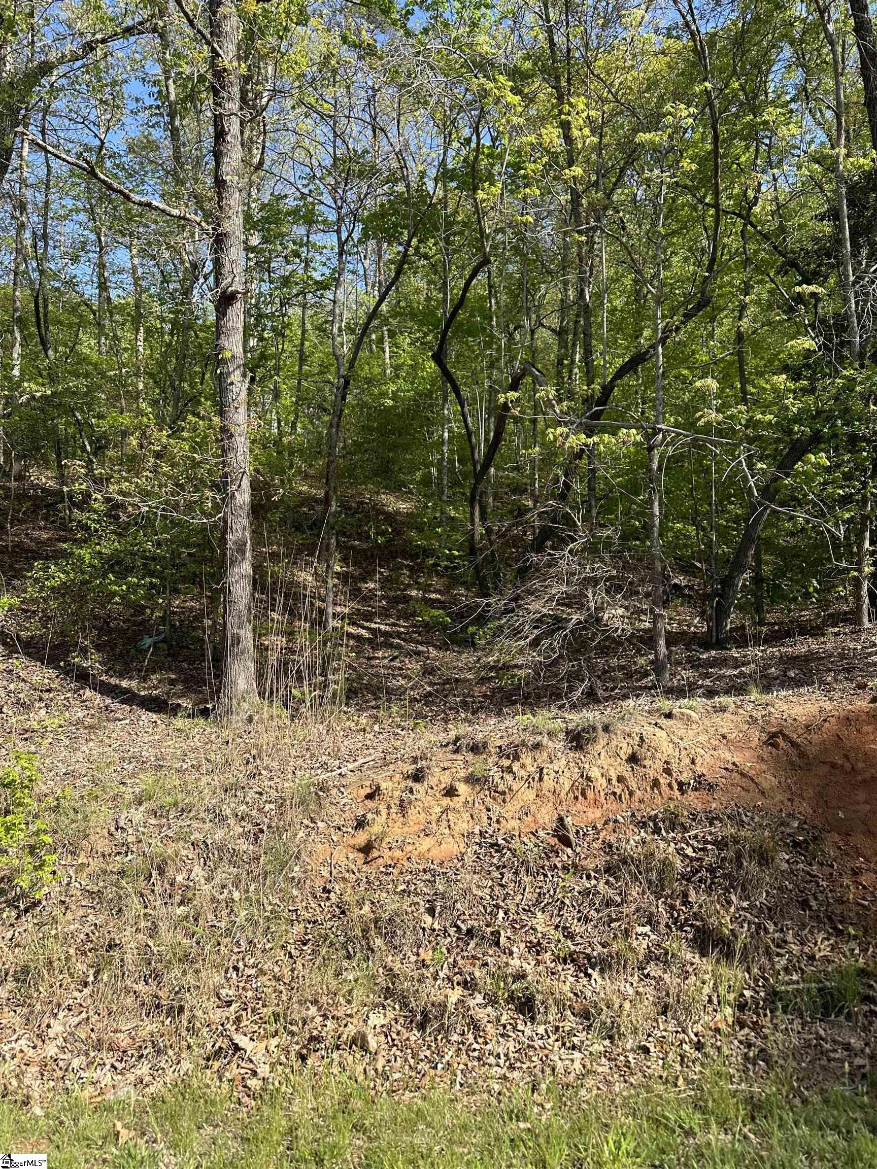 282 Connelly Road, Pickens SC 29671