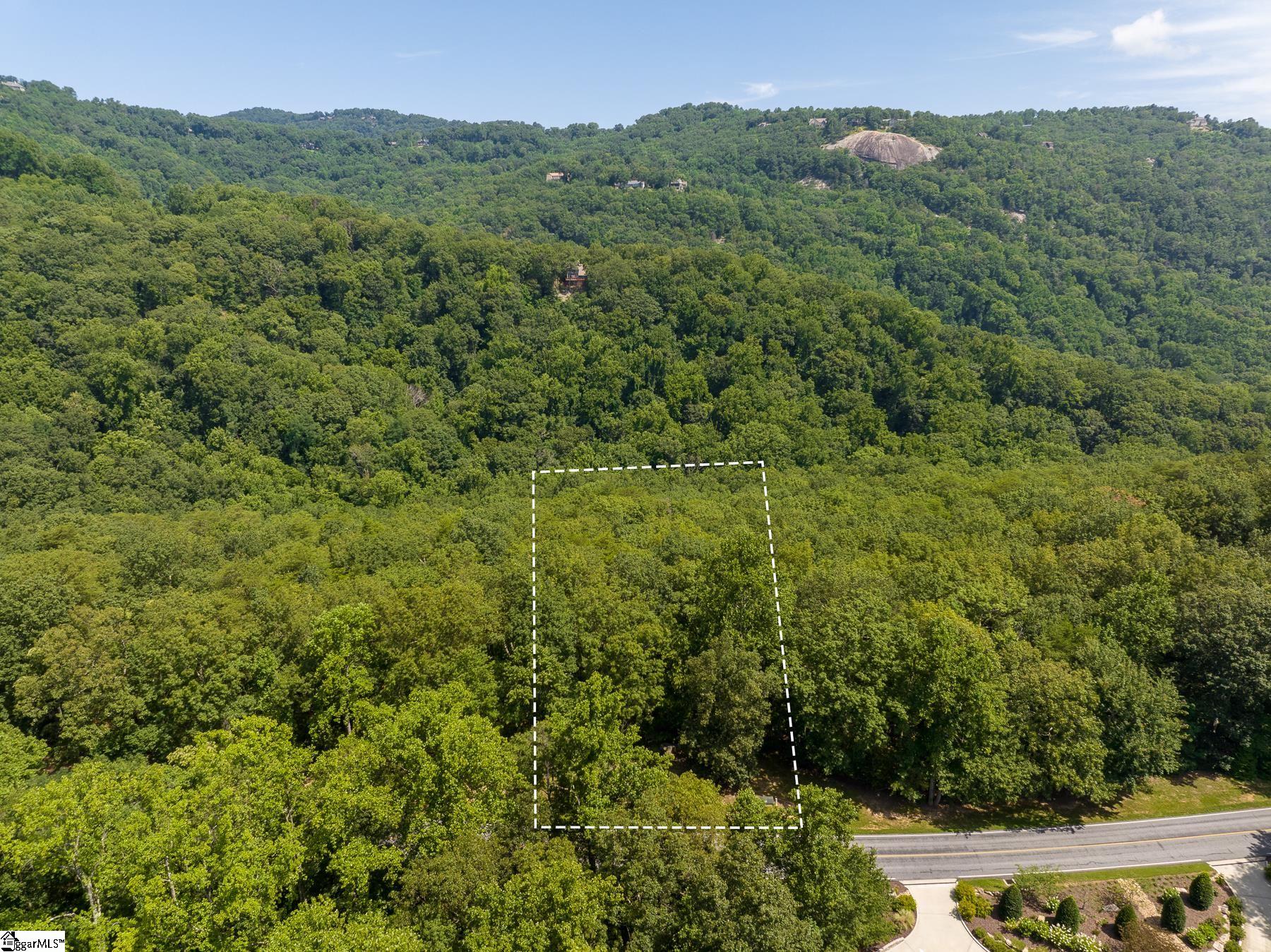 Land for sale in Landrum, South Carolina, 1496847