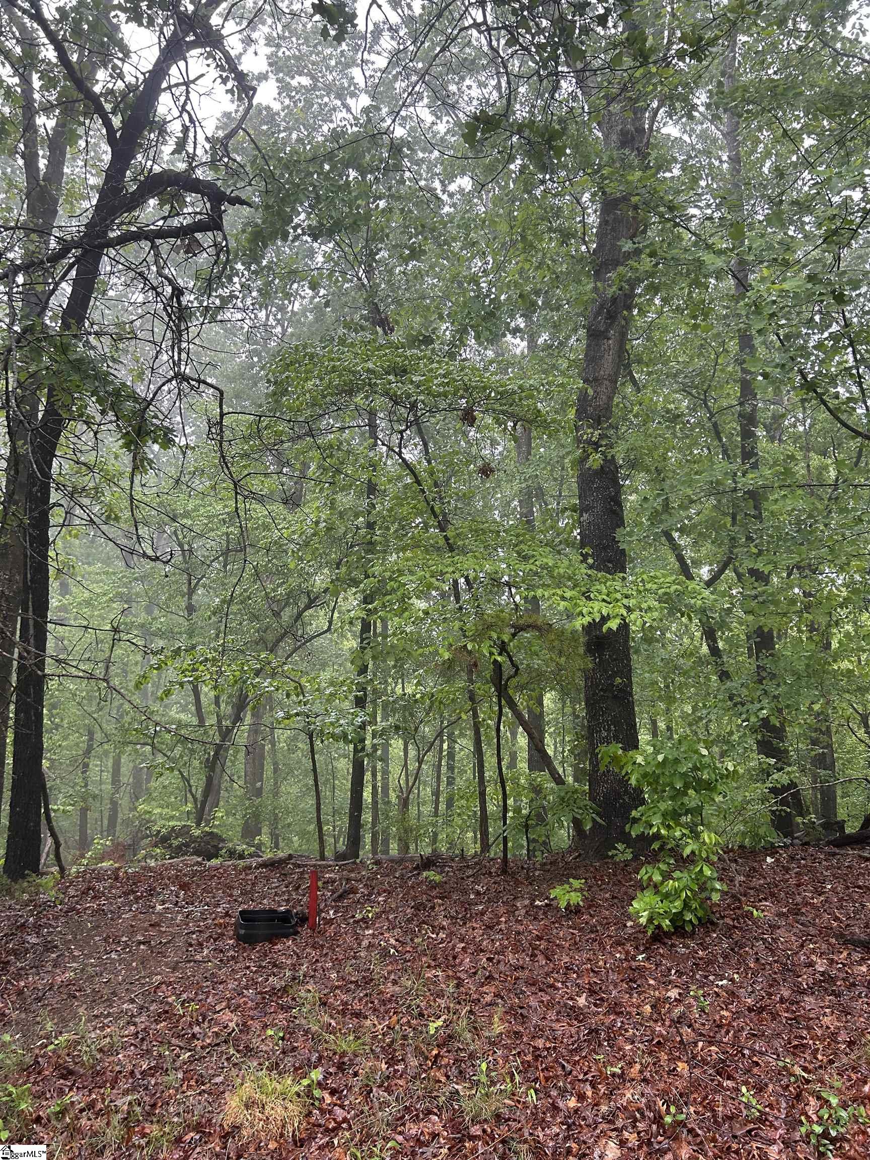 00 Beech Drive, Westminster SC 29693