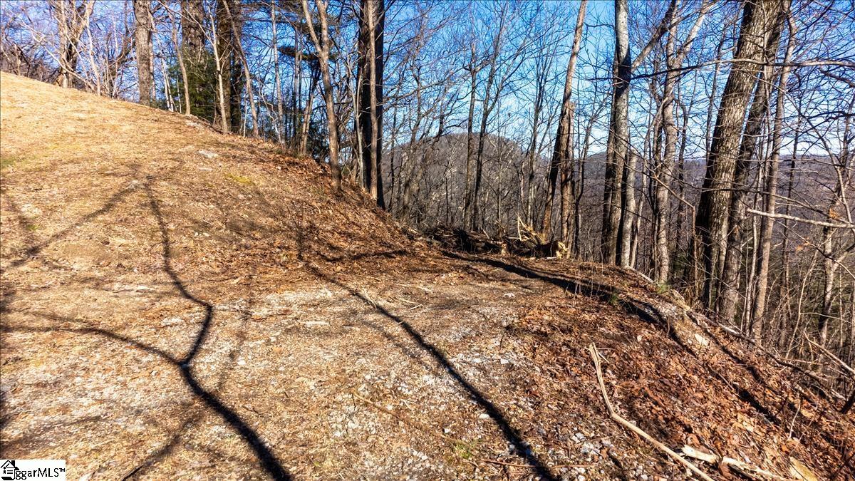 1424 Panther Park Trail, Travelers Rest SC 29690
