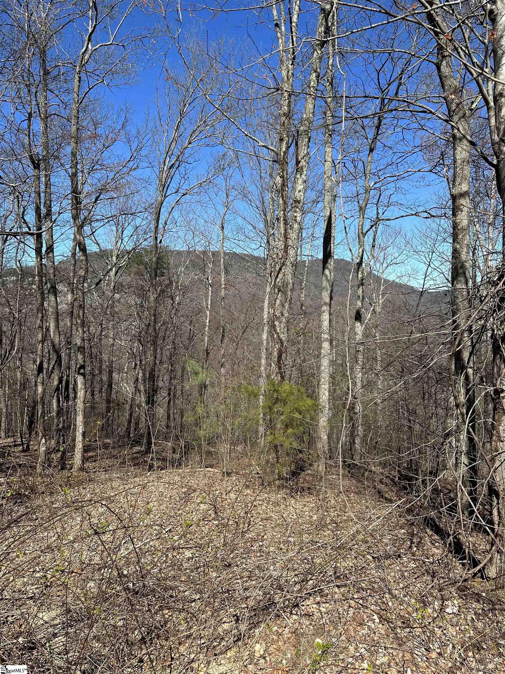 247 Foggy Cut Lane Lot 52, Landrum SC 29356