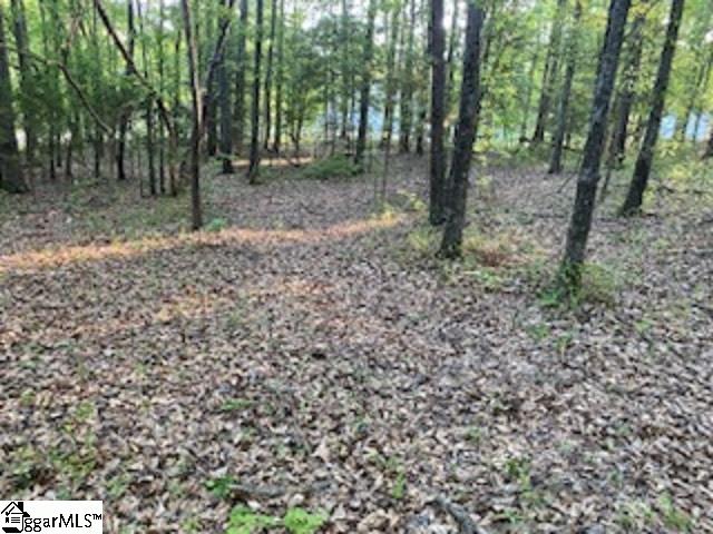 00 Jackie Court, Spartanburg SC 29307-0000