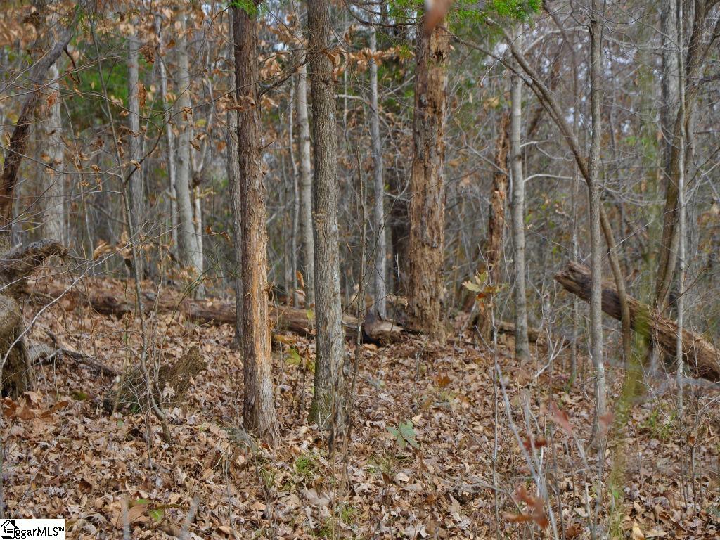 32 Bomar Road, Taylors SC 29687