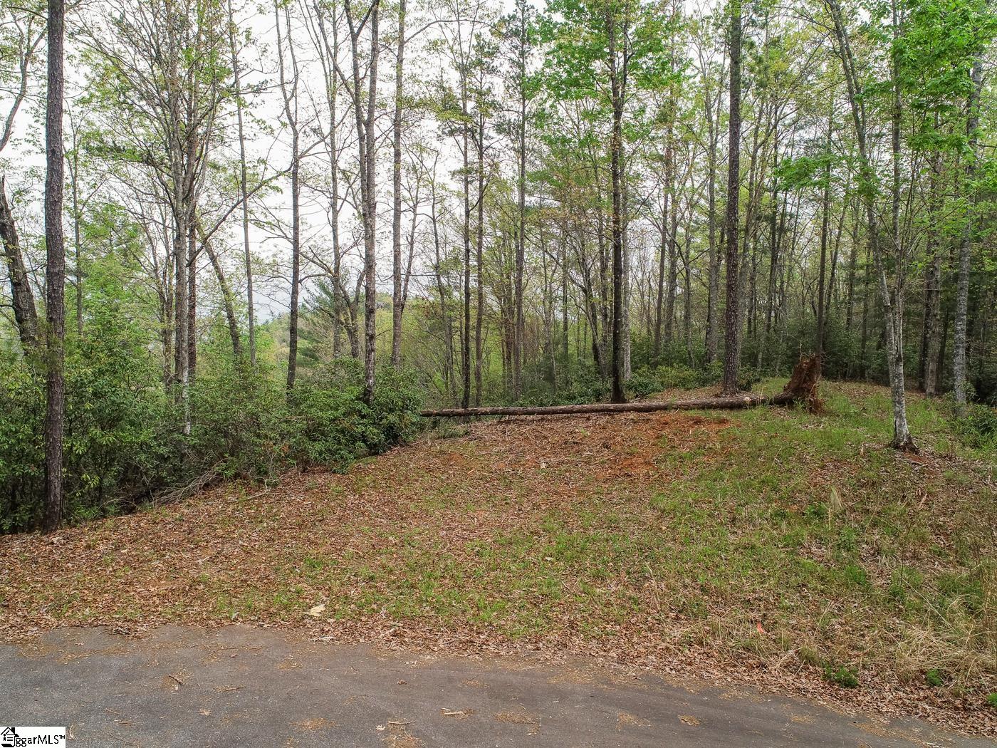 113 White Tree Ridge, Sunset SC 29685