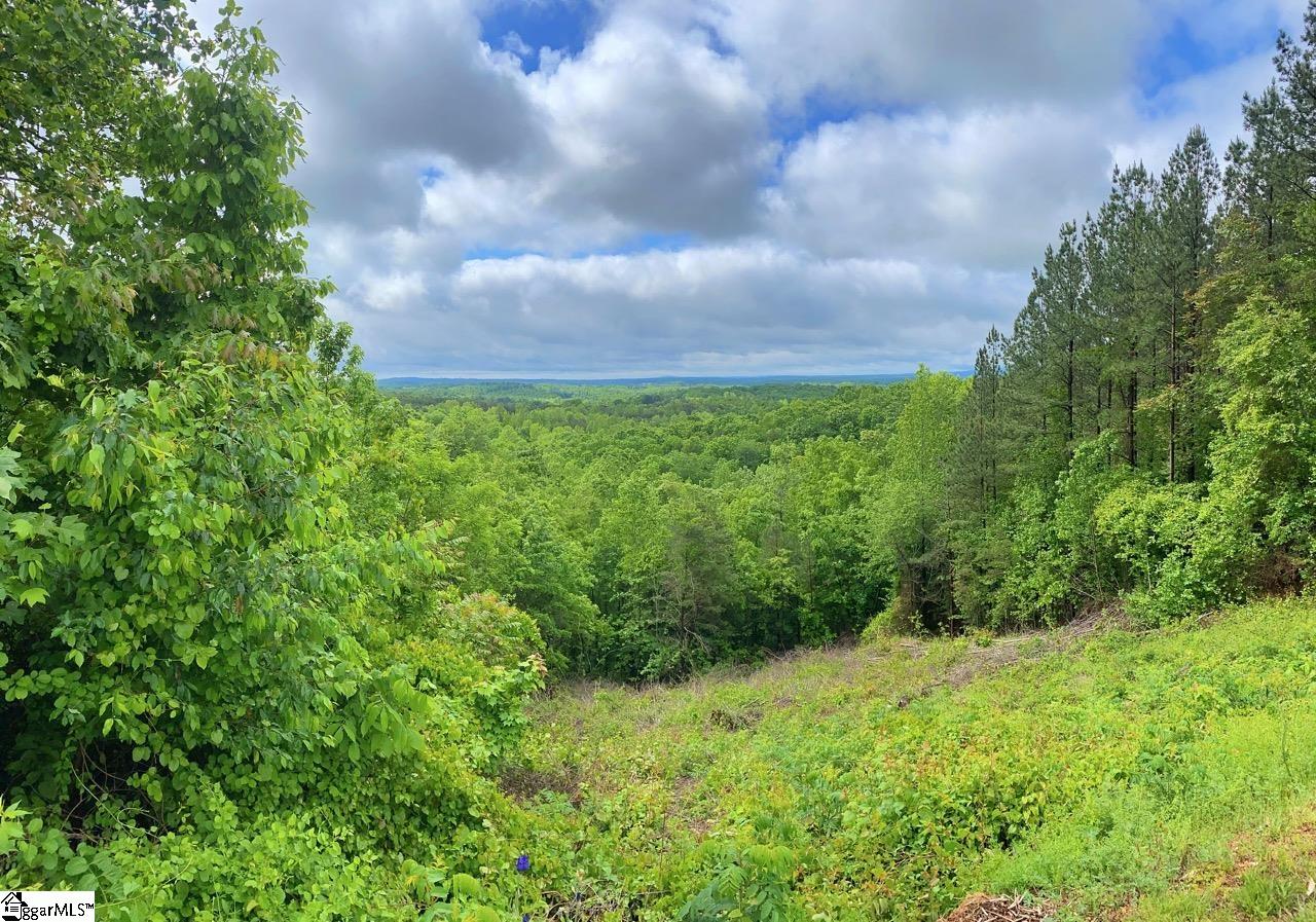 Packs Mountain Ridge Road, Taylors SC 29687