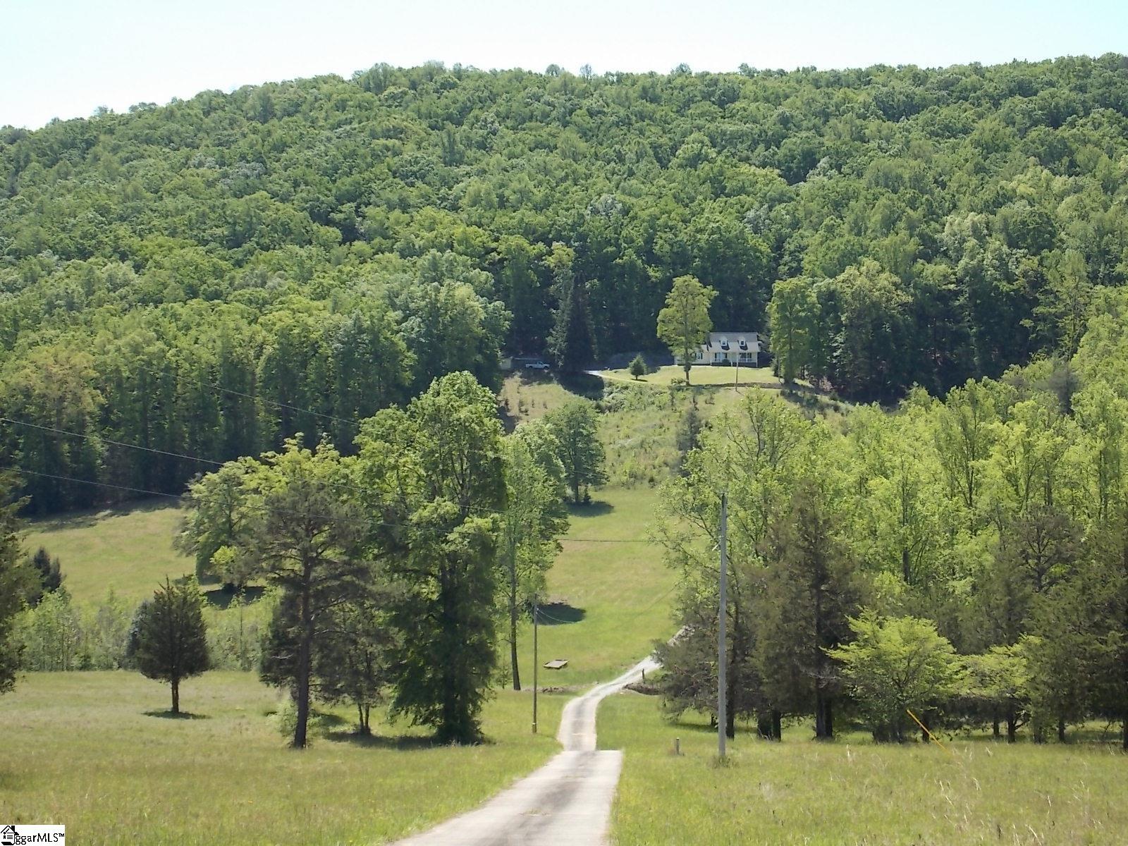 603 E Preston McDaniel Road Pickens, SC 29671