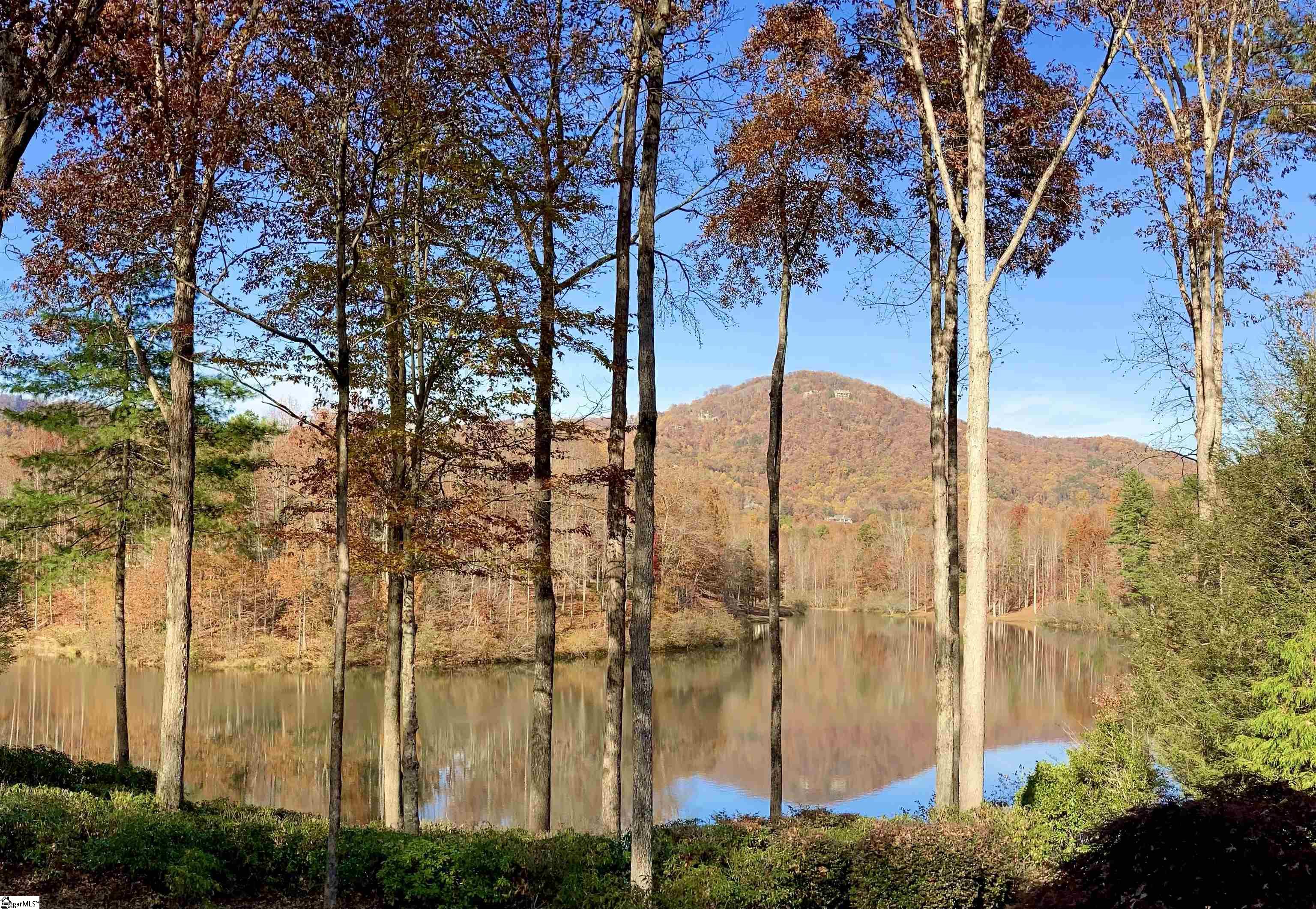 405 Lake Hills, Travelers Rest, South Carolina image 2