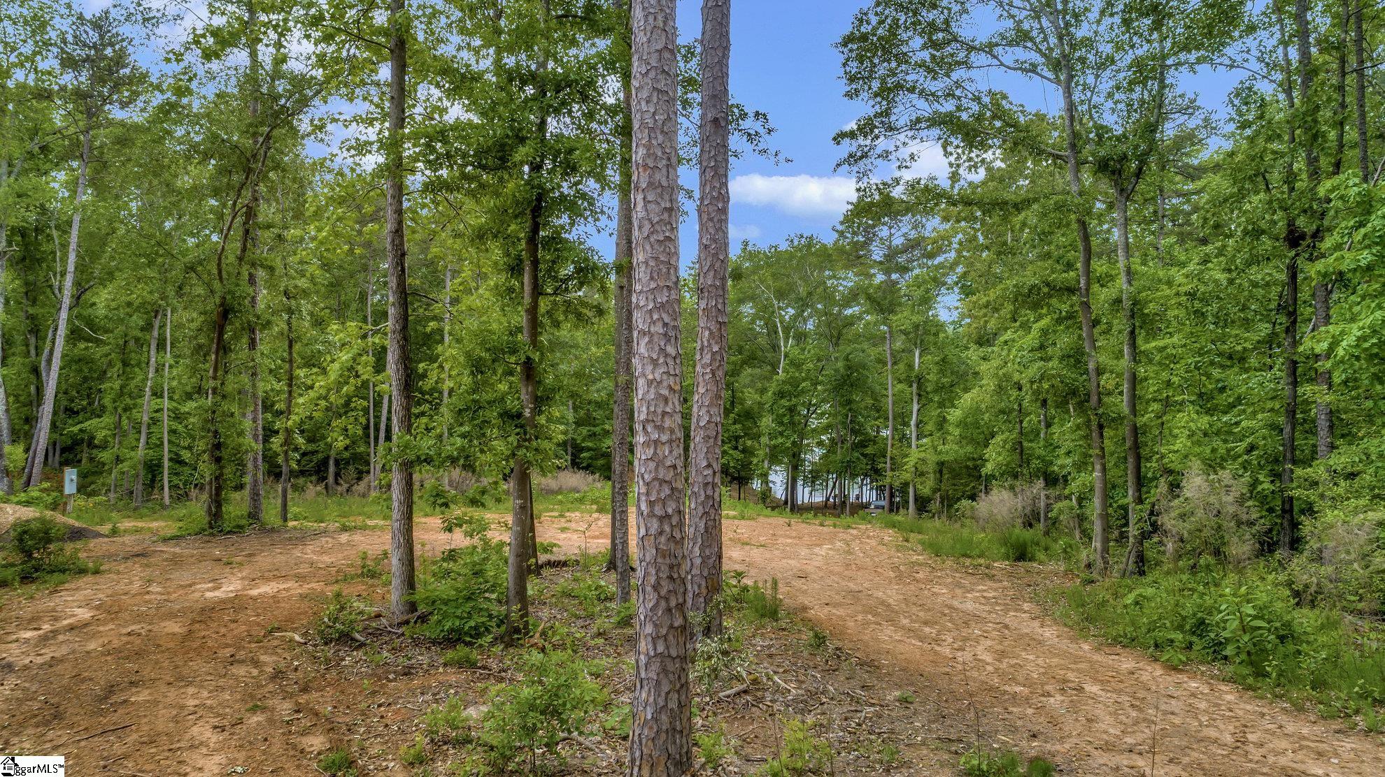00 Hawk Harbor Drive, Anderson SC 29625