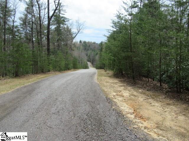 315 Falcon Crest Way, Pickens SC 29671