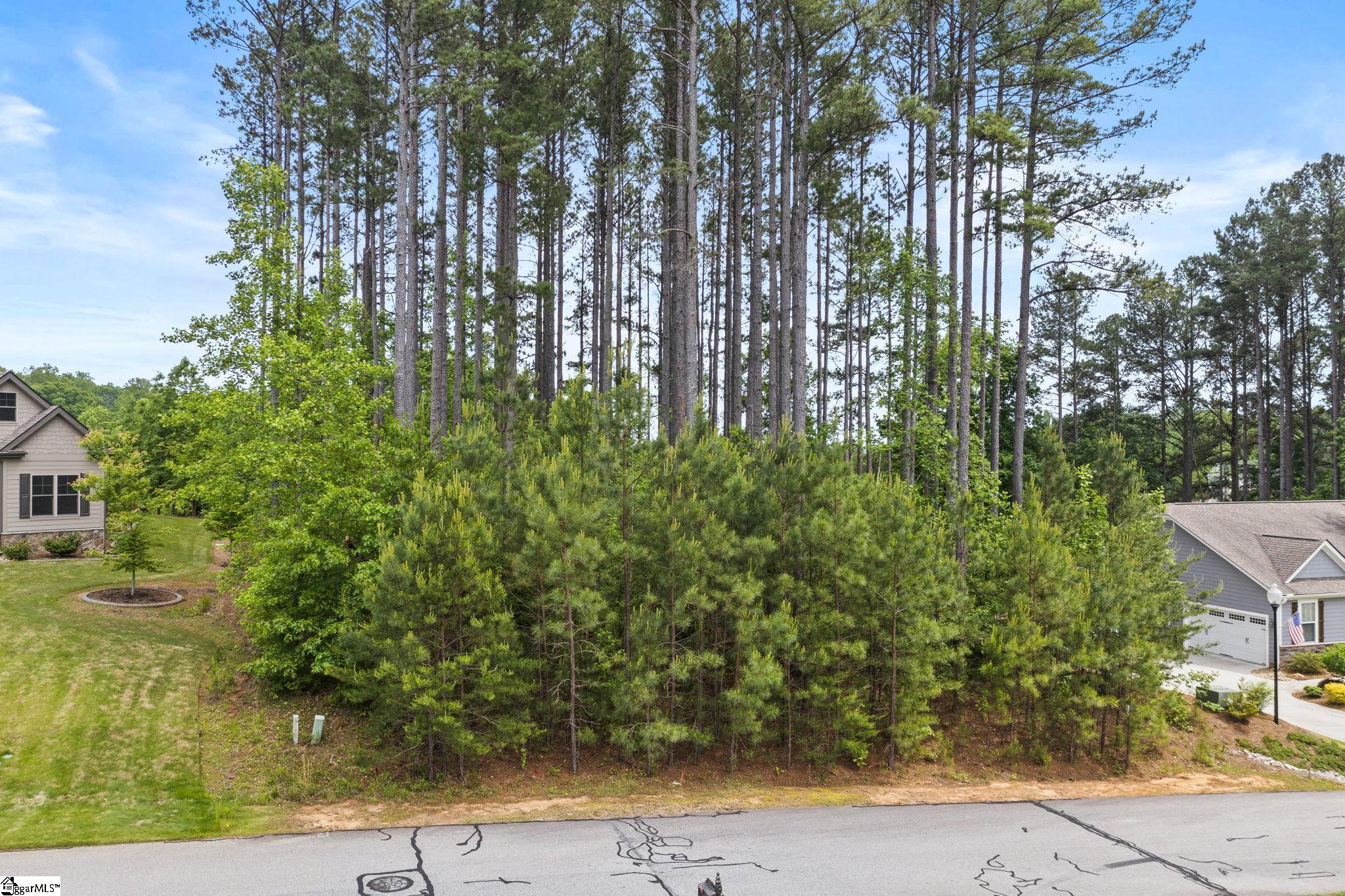 11 Laurelcrest Lane Lot 50, Travelers Rest SC 29690