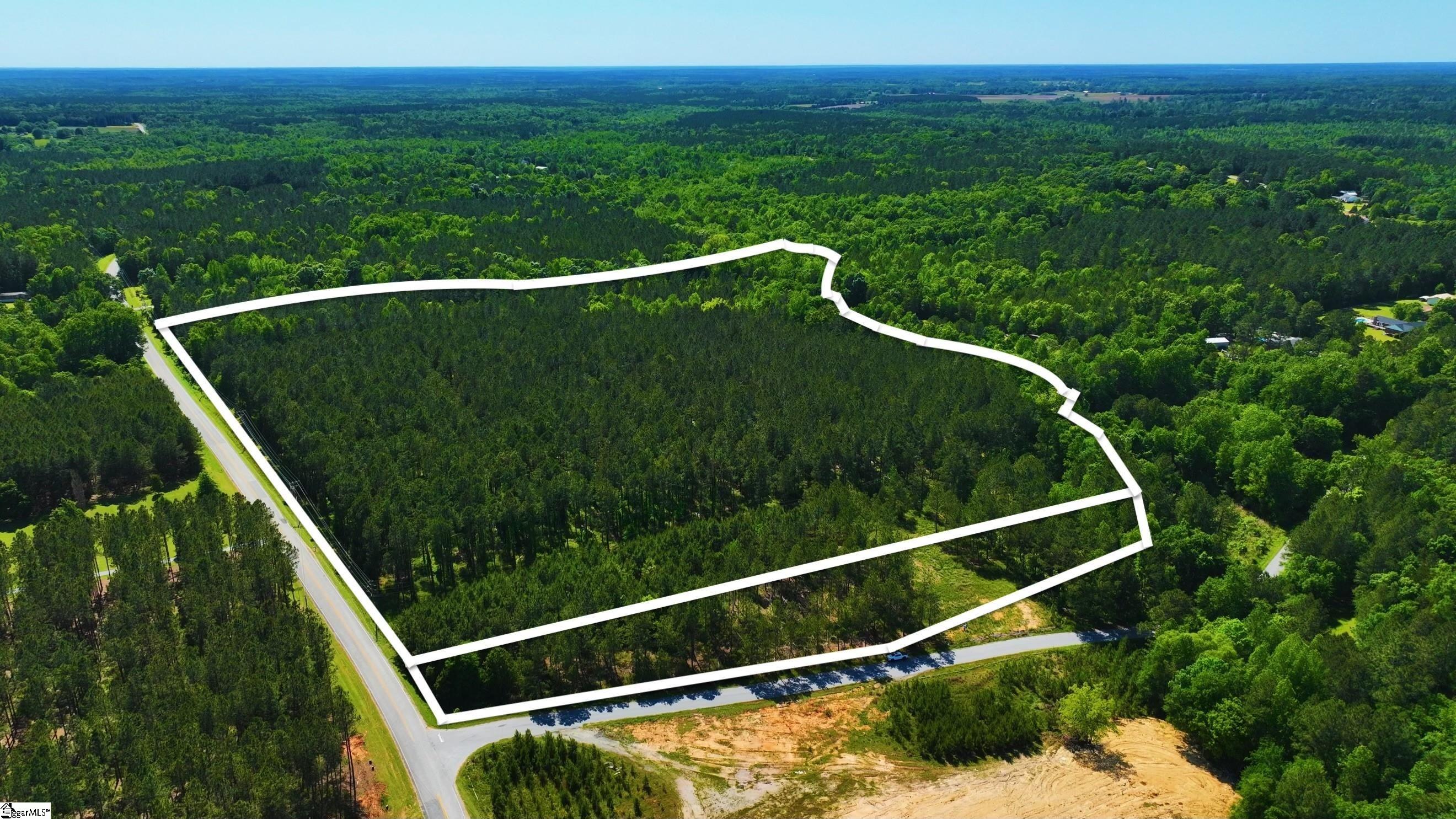 00 Counts Sausage Road, Prosperity SC 29217