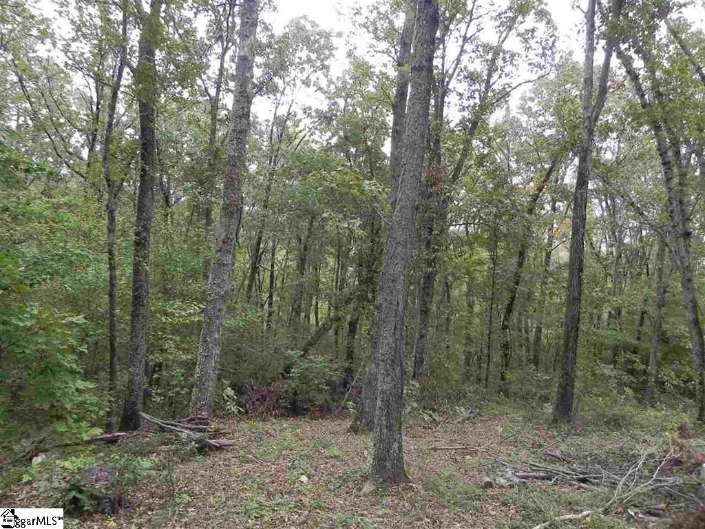 27 Northslope View Drive, Landrum SC 29356-2935