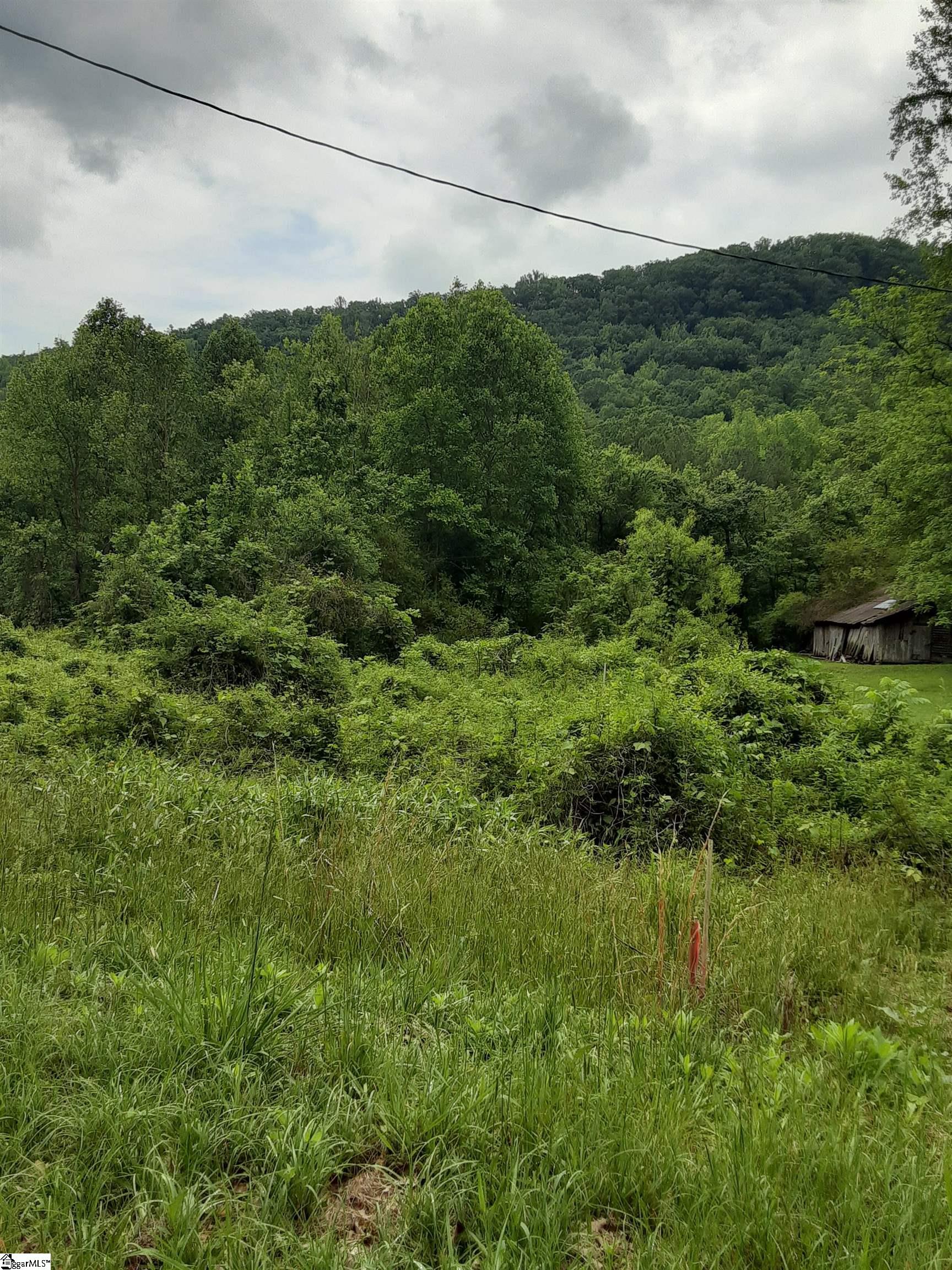 0000000 E Preston Mcdaniel Road, Pickens SC 29671