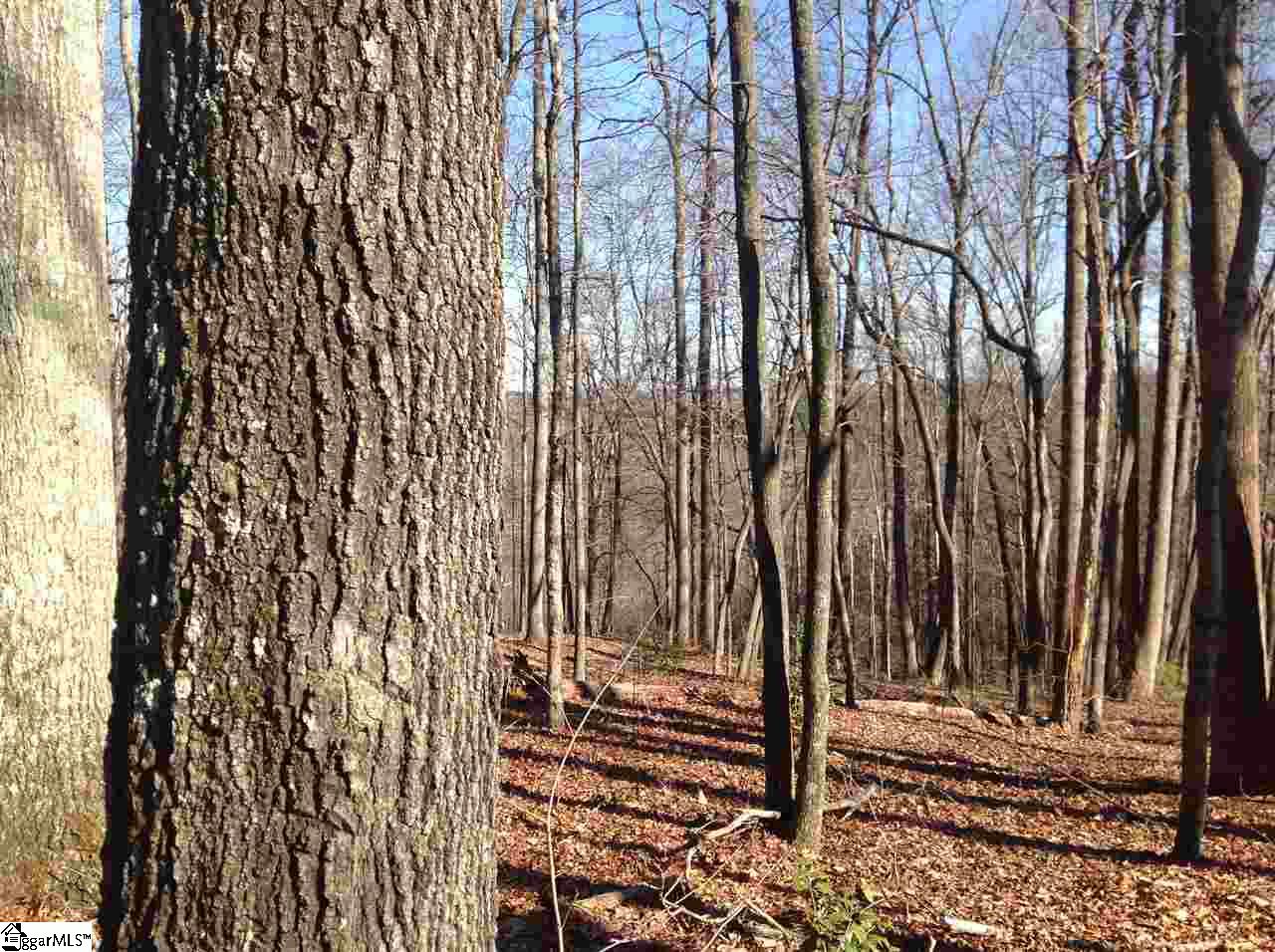 312 Laurel Valley Way, Travelers Rest SC 29690