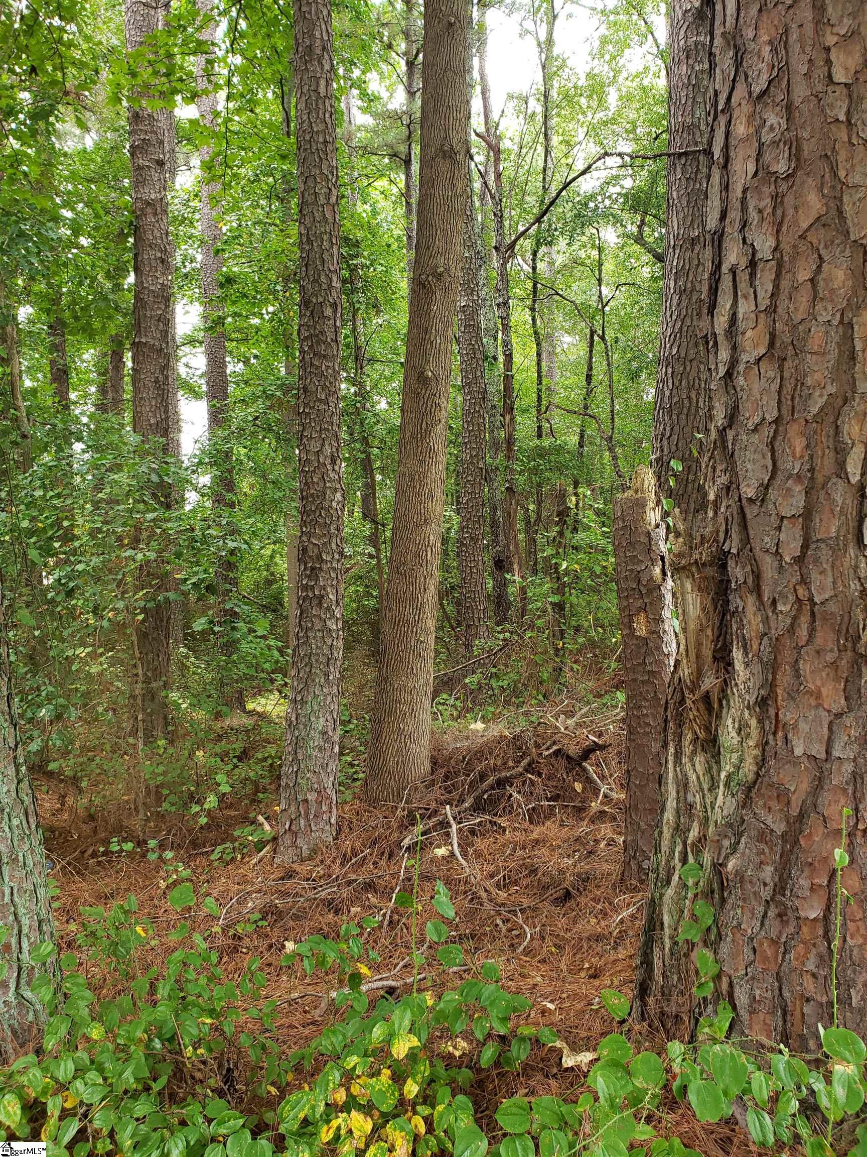 00 John Dodd Road, Spartanburg SC 29303